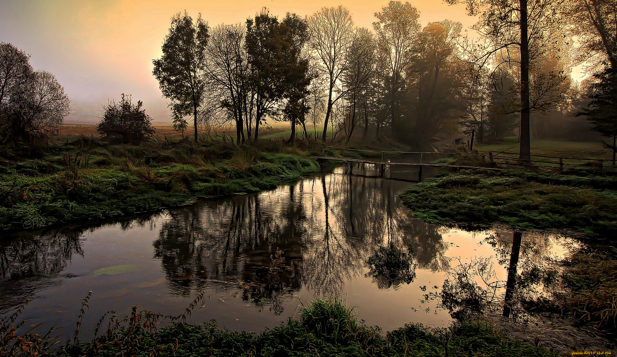 природа, реки, озера, река, лес