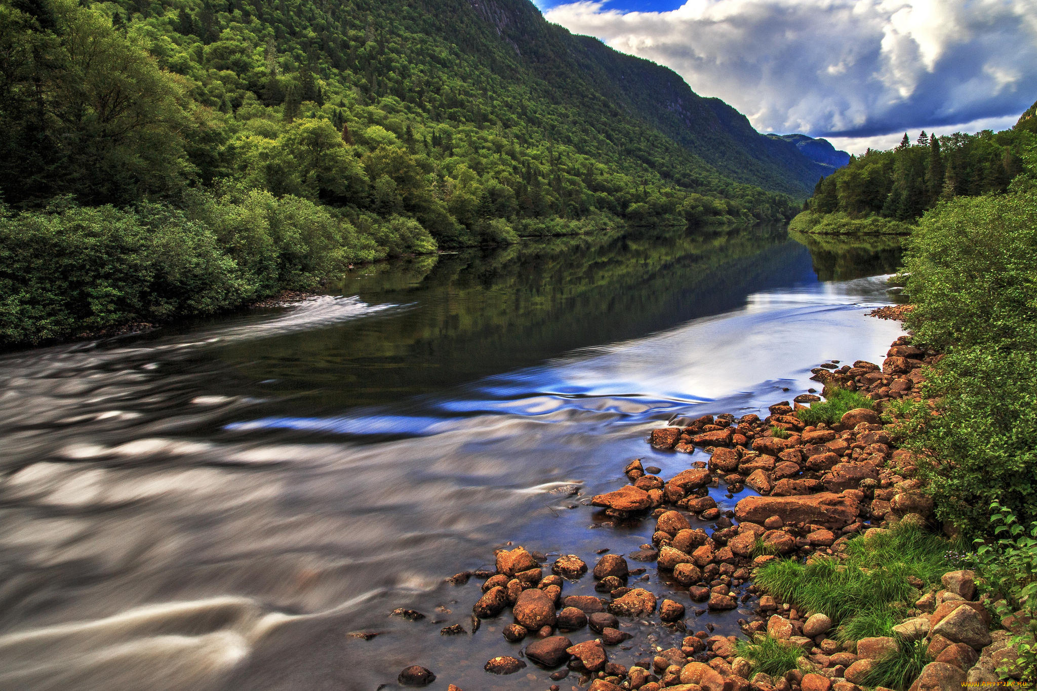 природа, реки, озера, река, лес