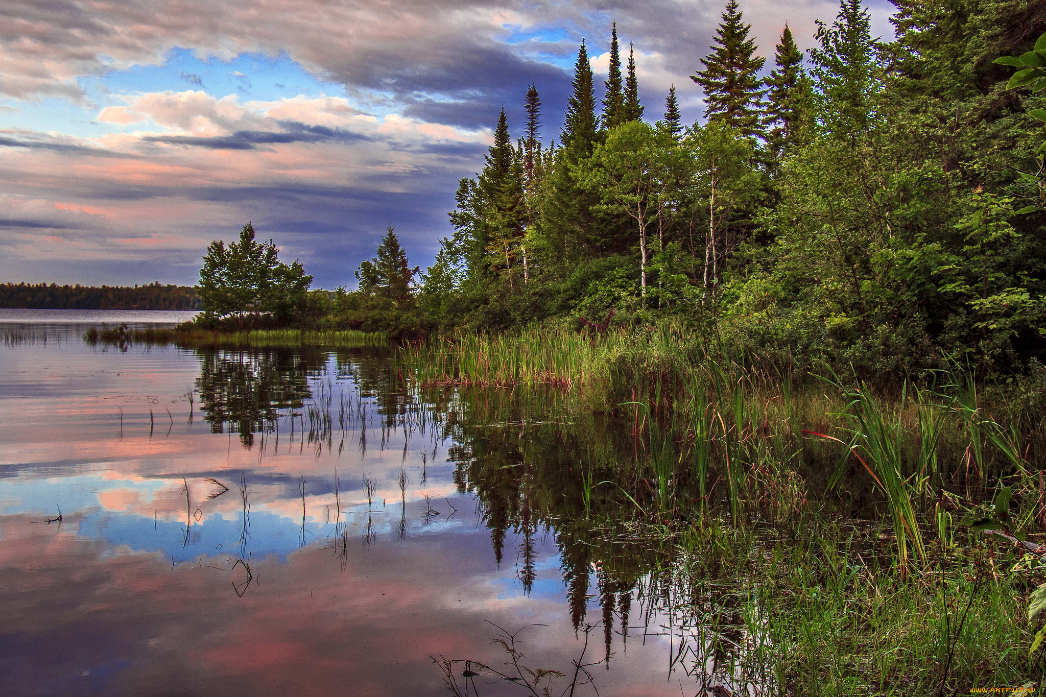 природа, реки, озера, река, лес