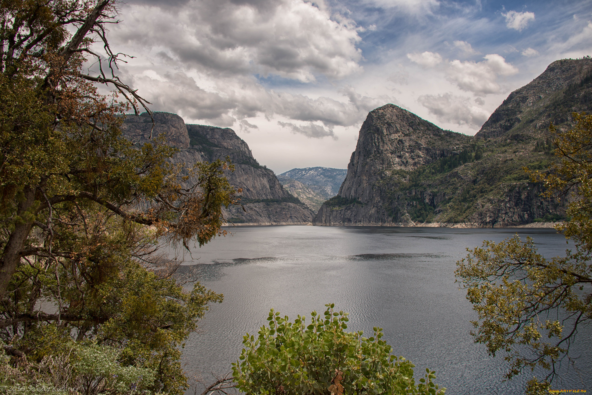 природа, реки, озера, река, лес