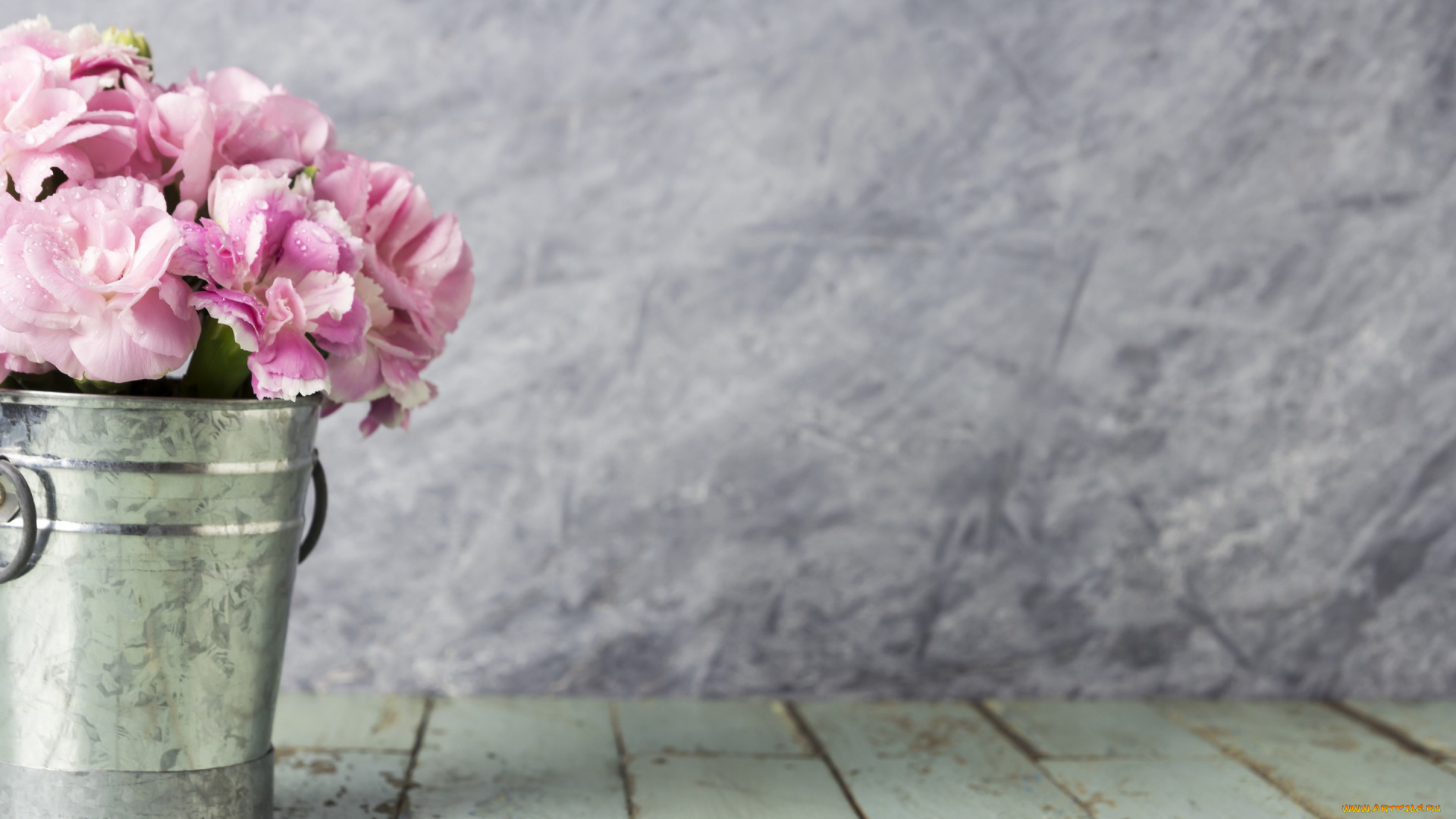 цветы, гвоздики, flowers, ведро, wood, розовые, beautiful, vintage, romantic, лепестки, pink