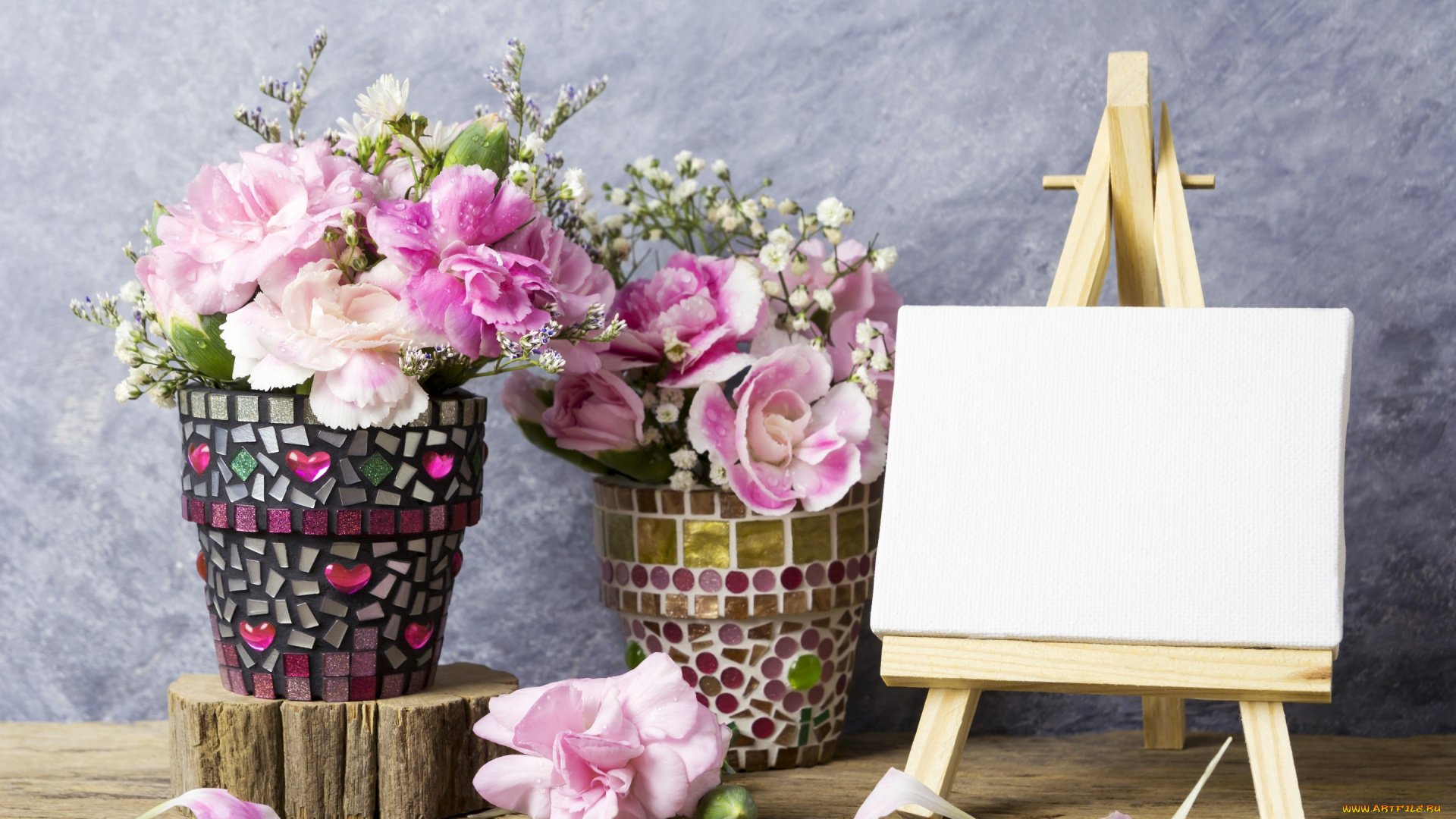 цветы, гвоздики, розовые, romantic, flowers, vintage, лепестки, pink, beautiful