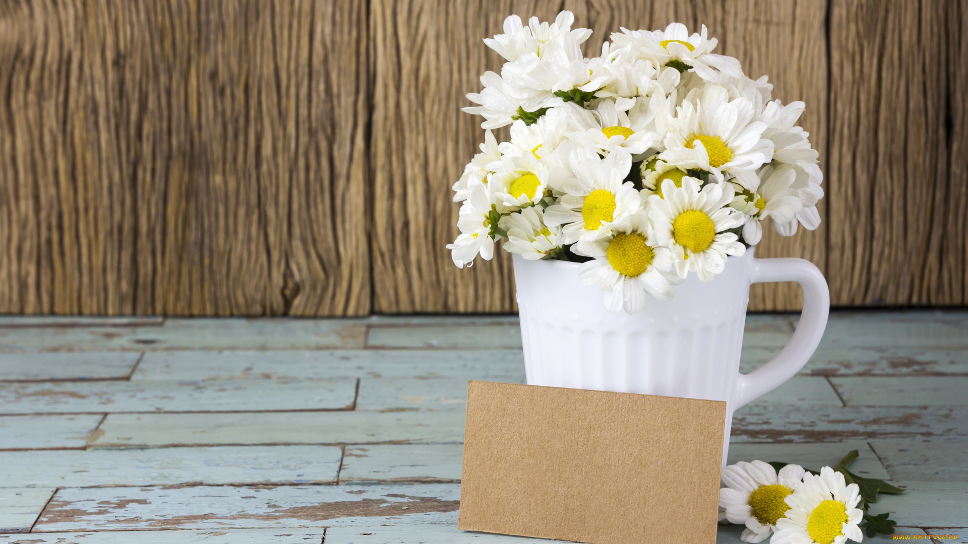 цветы, ромашки, flowers, кружка, mug, camomile, romantic