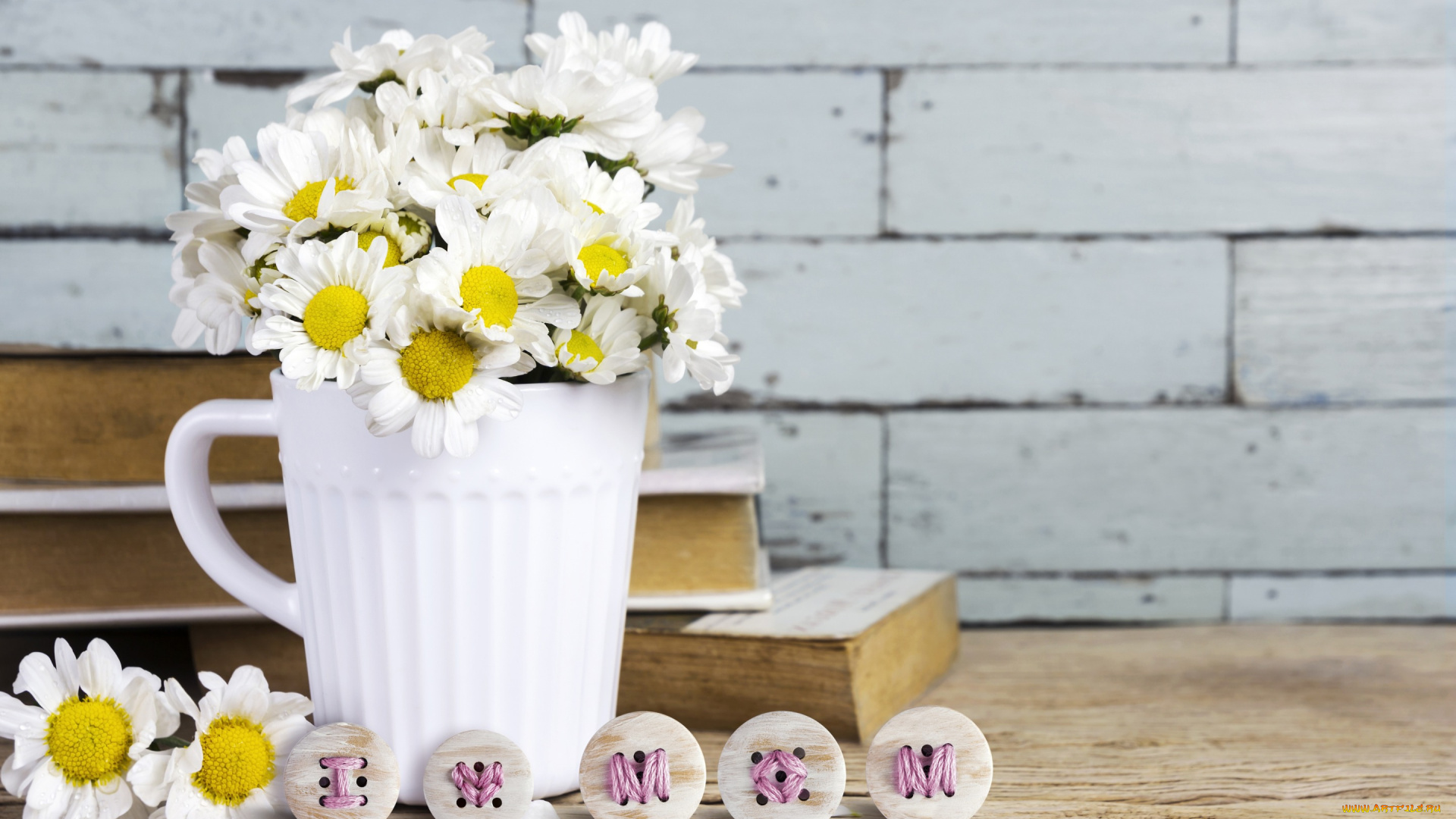 цветы, ромашки, romantic, кружка, camomile, flowers, mug