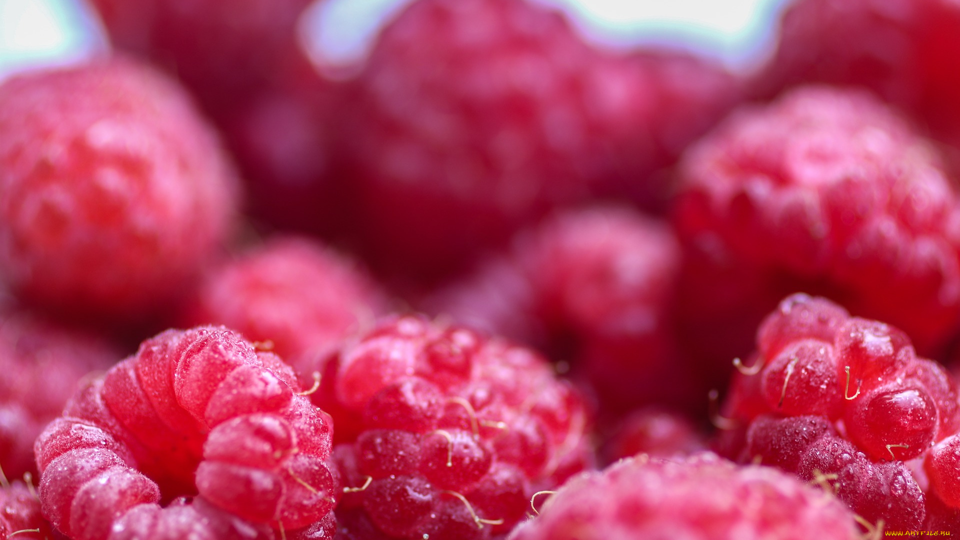 еда, малина, ягода, много