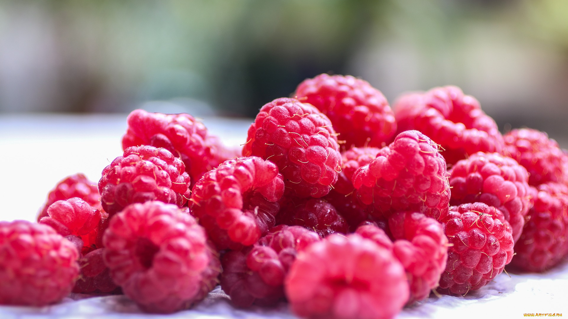 еда, малина, ягода, много