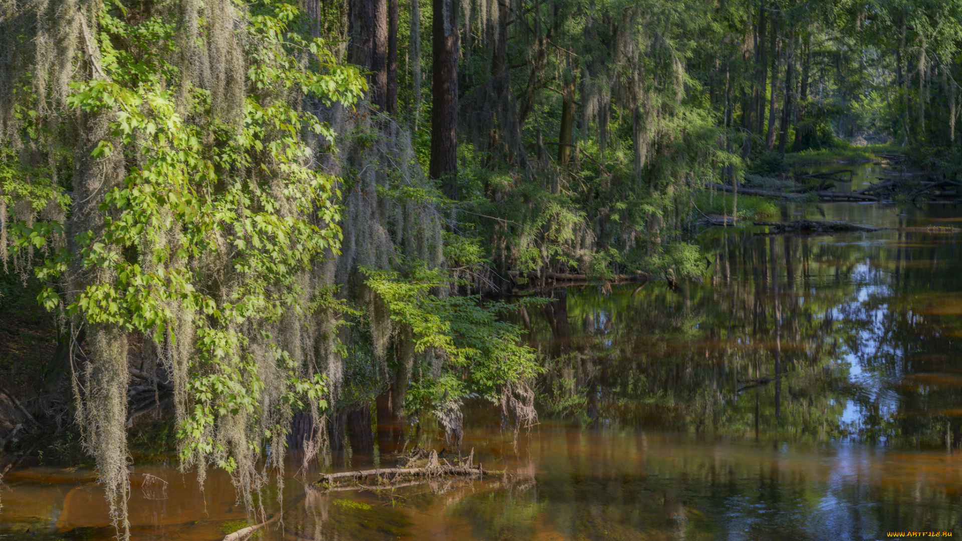 природа, реки, озера, простор