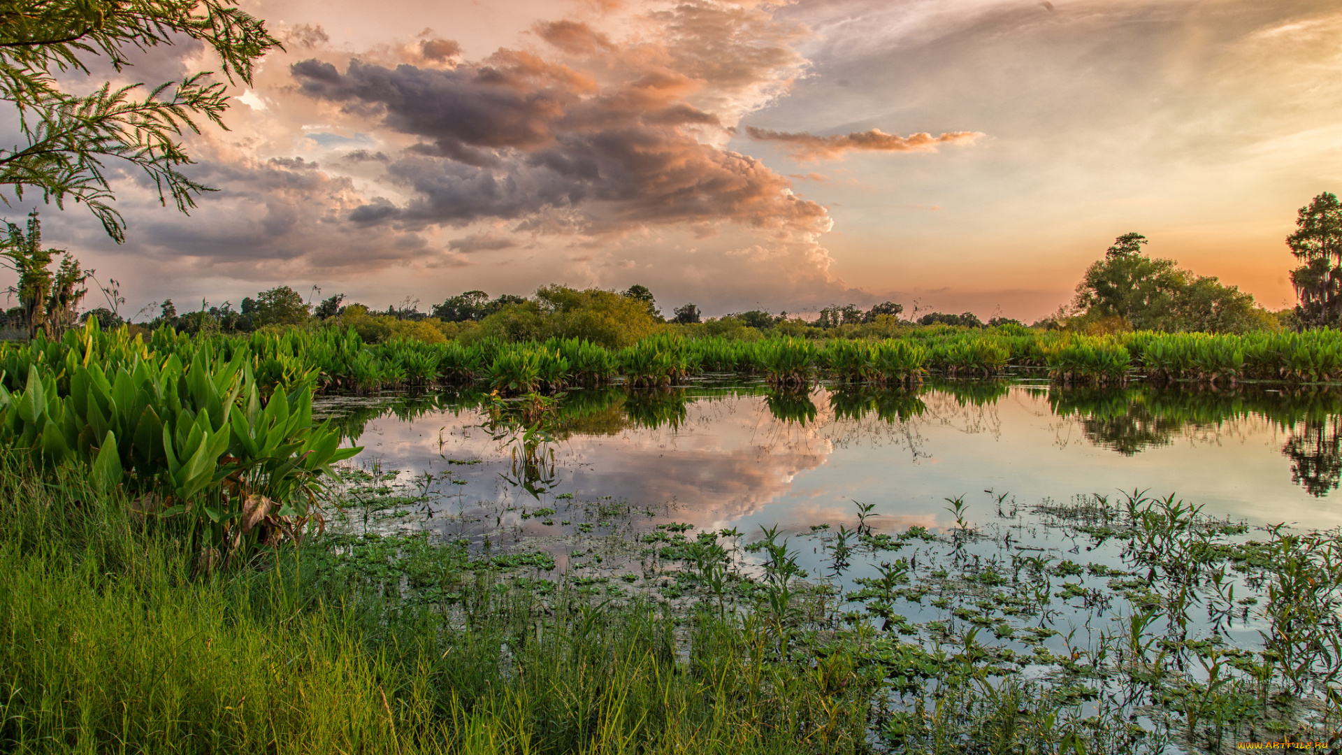 природа, реки, озера, простор