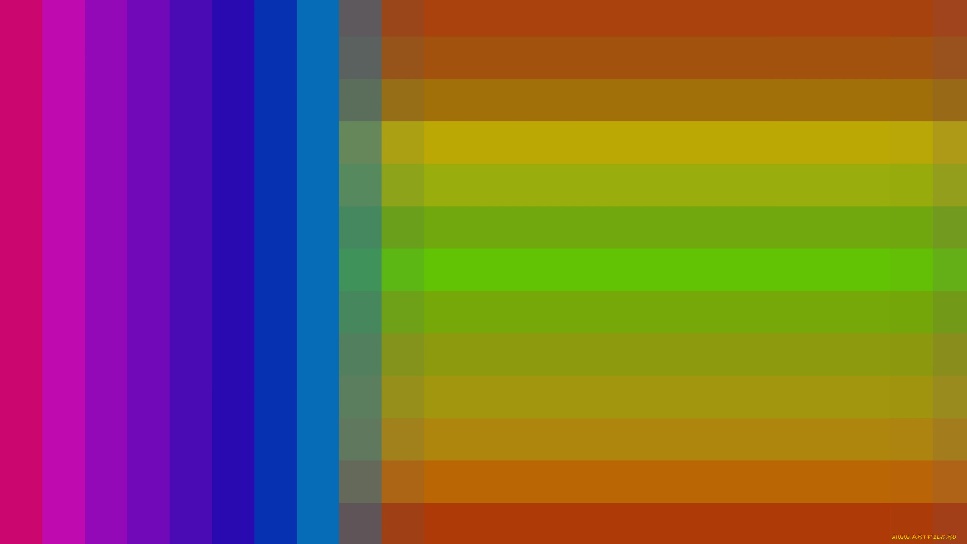 векторная, графика, графика, , graphics, цвет, узоор, фон