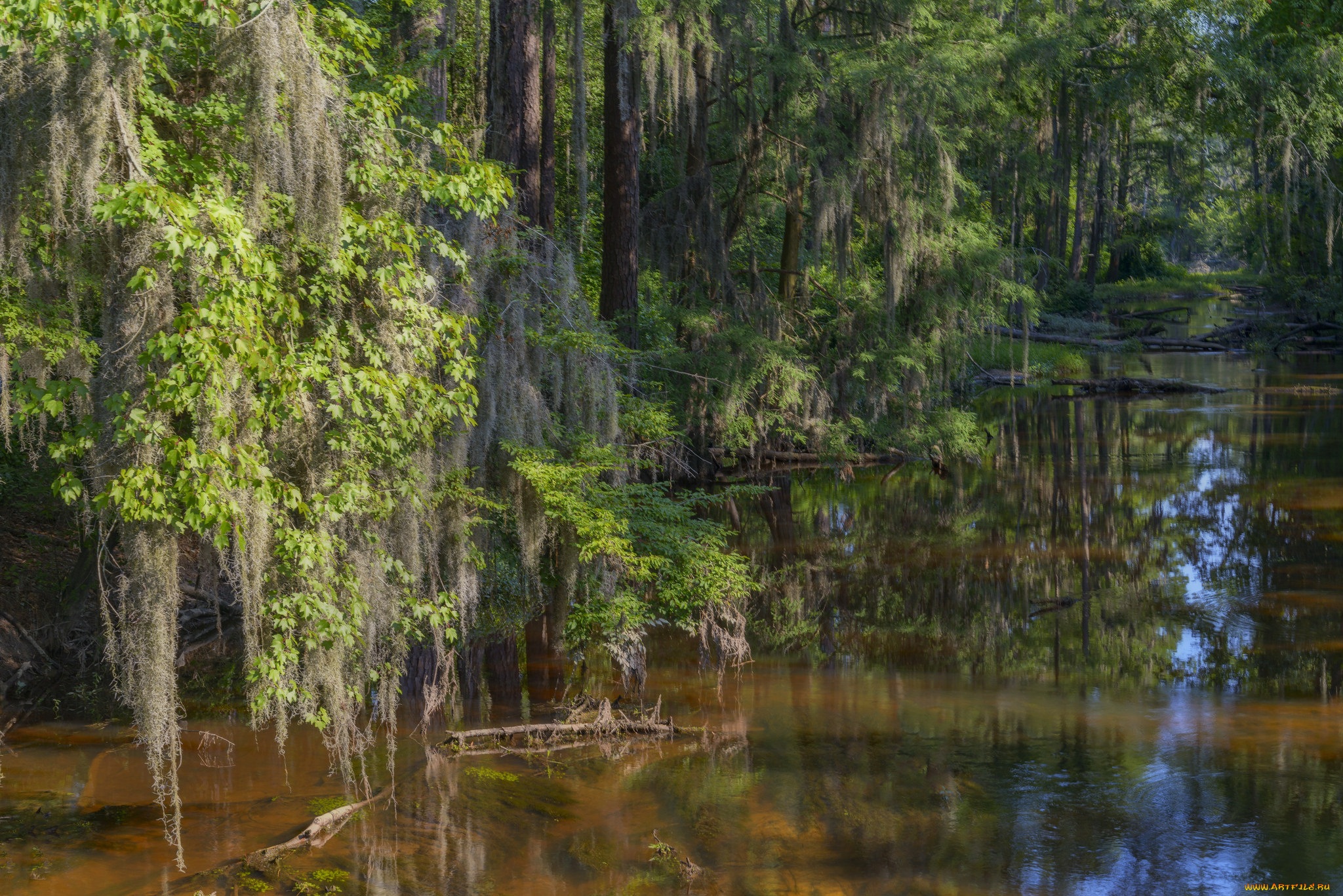 природа, реки, озера, простор