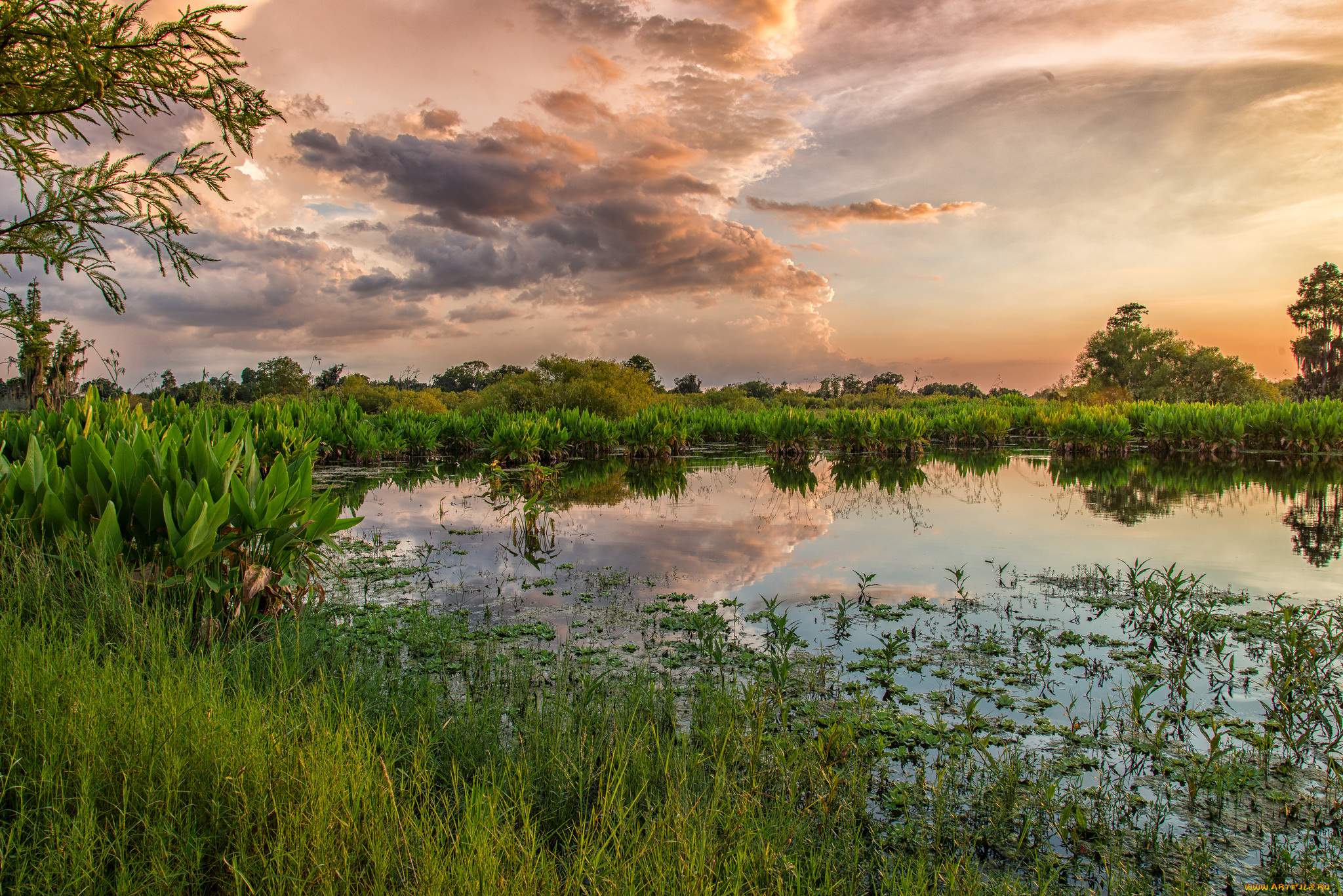 природа, реки, озера, простор