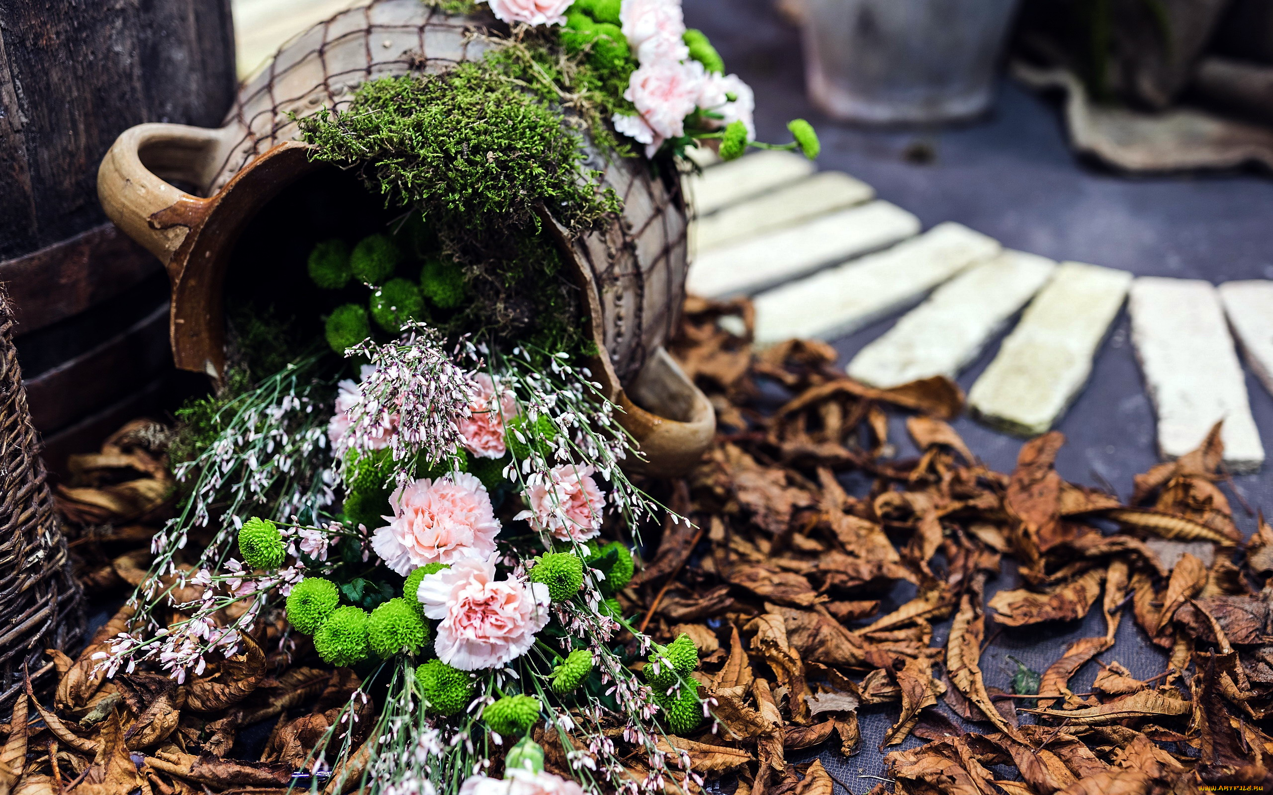 цветы, букеты, , композиции, гвоздики, хризантемы