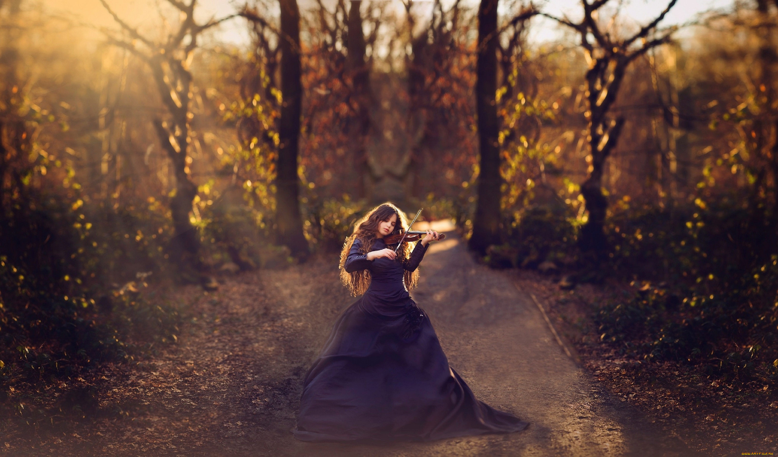 музыка, -другое, деревья, скрипка, девушка, природа