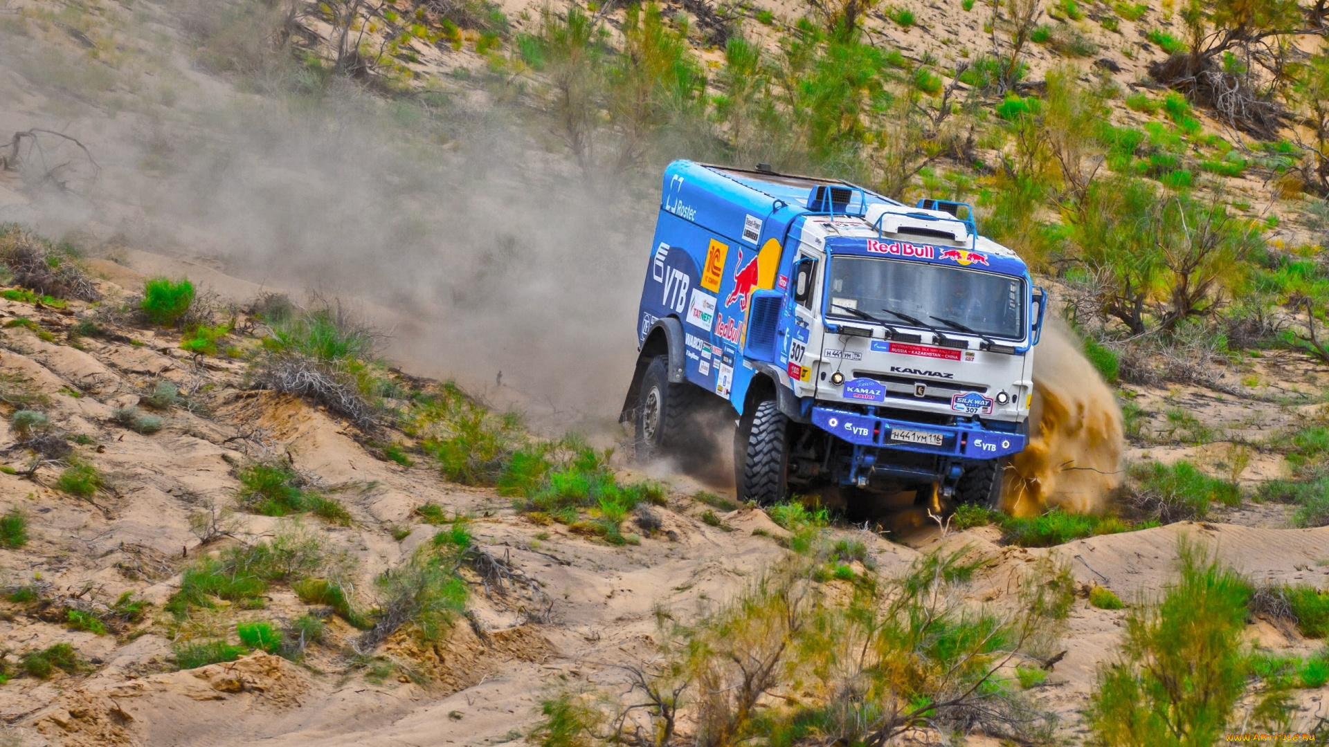 спорт, авторалли, ралли, камаз