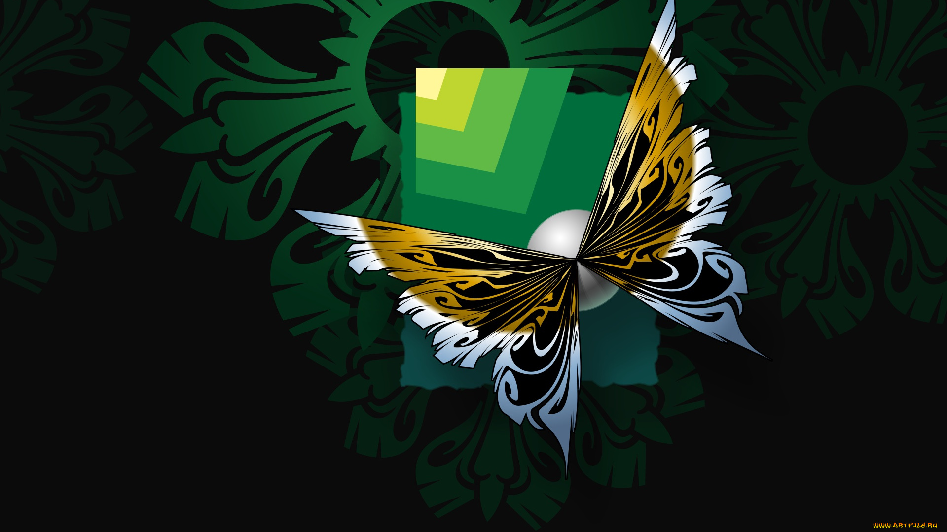 векторная, графика, животные, , animals, бабочка