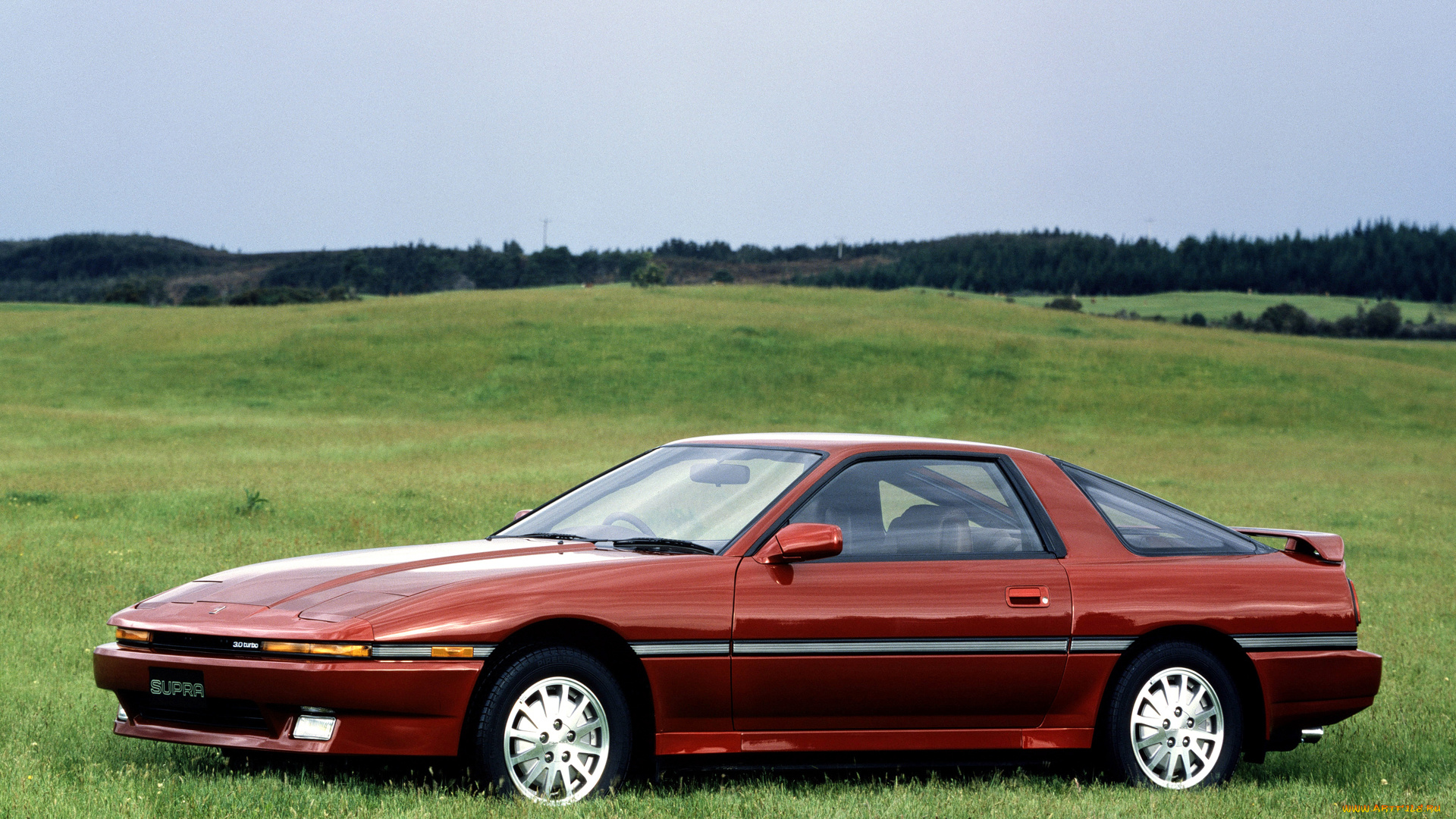 автомобили, toyota