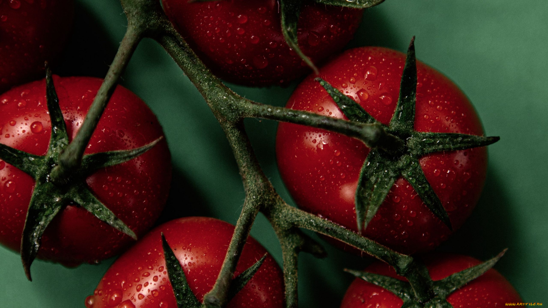 еда, помидоры, томаты