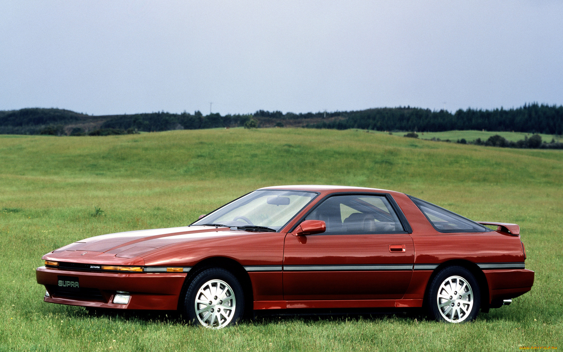 автомобили, toyota