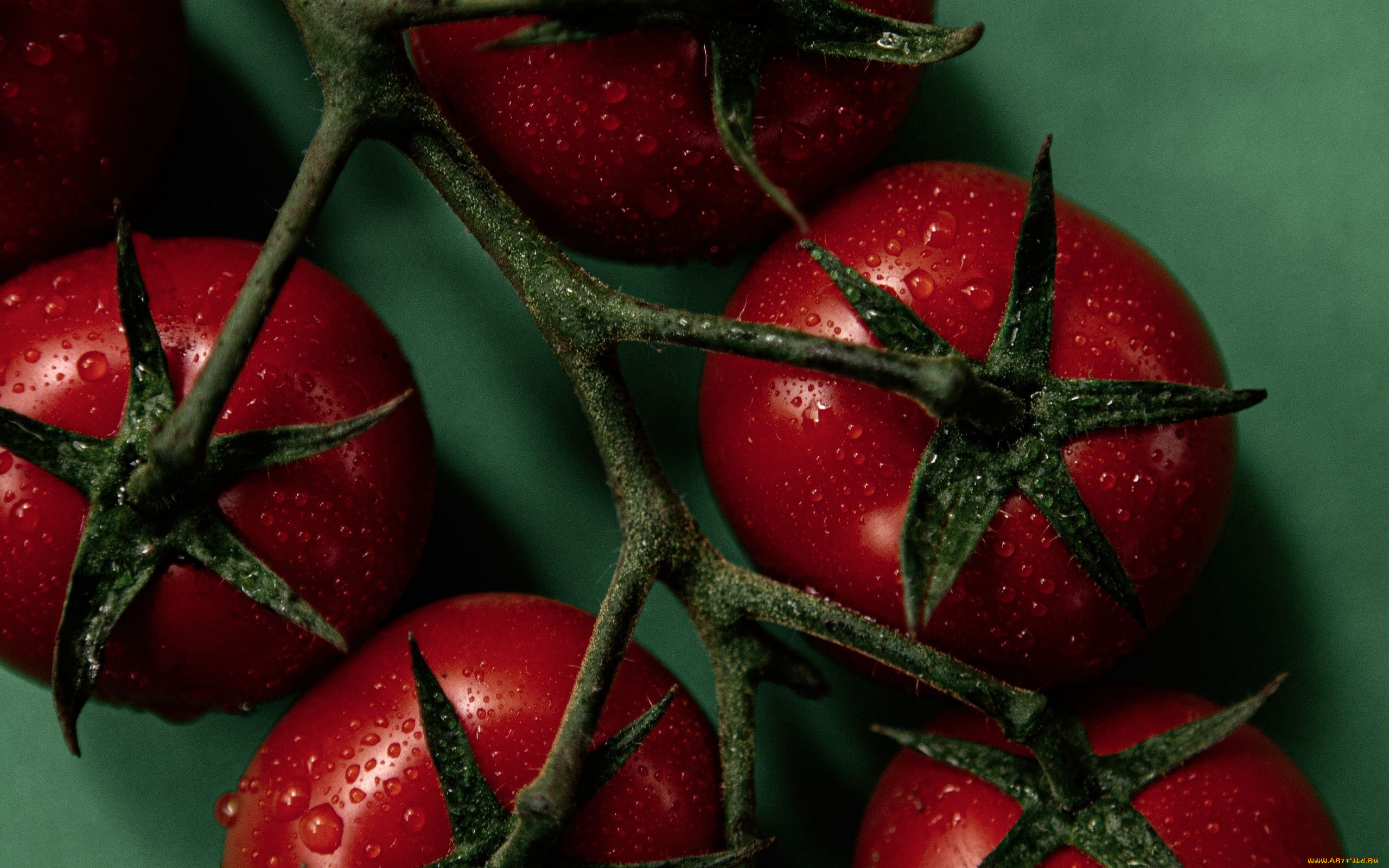 еда, помидоры, томаты