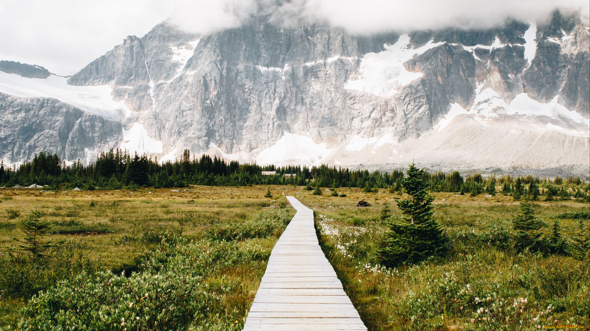 природа, дороги, горы, дорога, снег