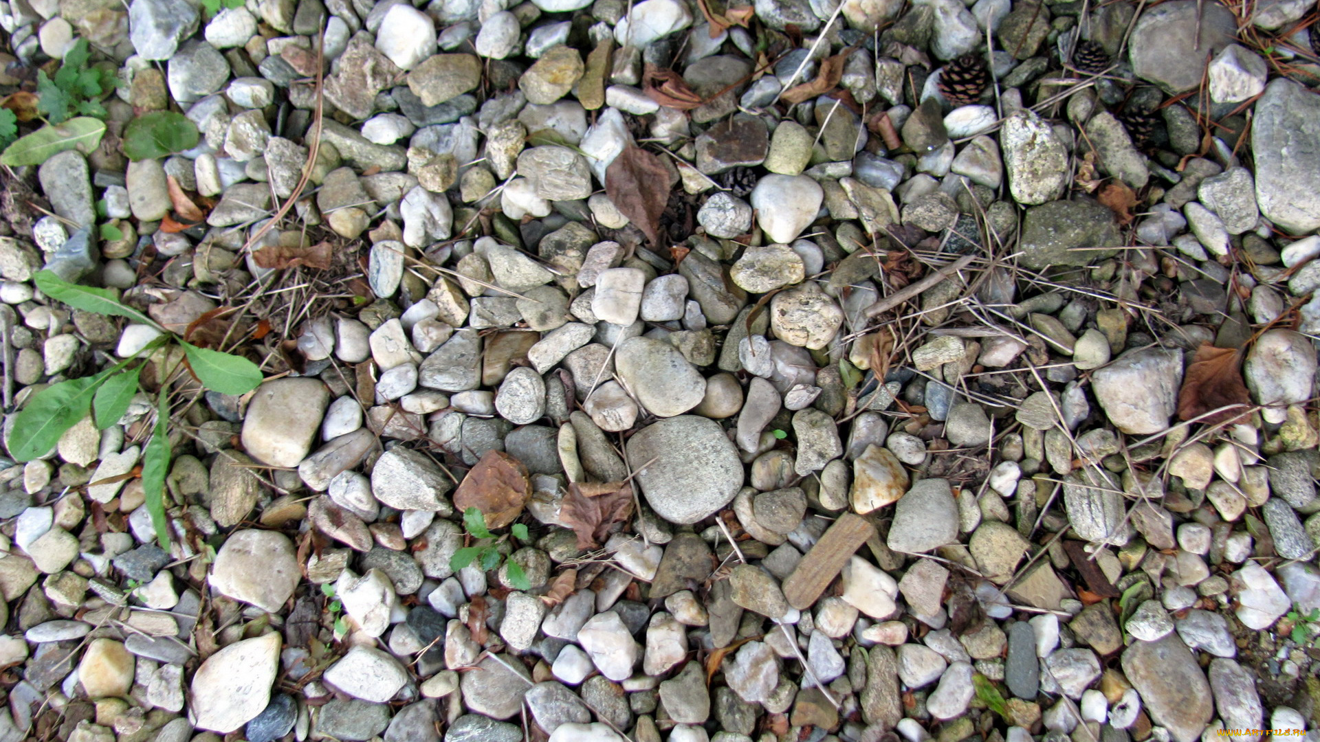 природа, камни, , минералы, мелкие