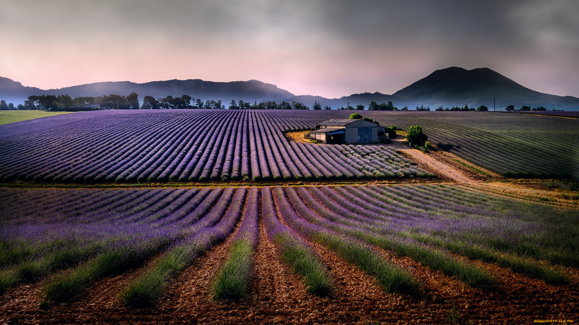 природа, поля, горы, лаванда
