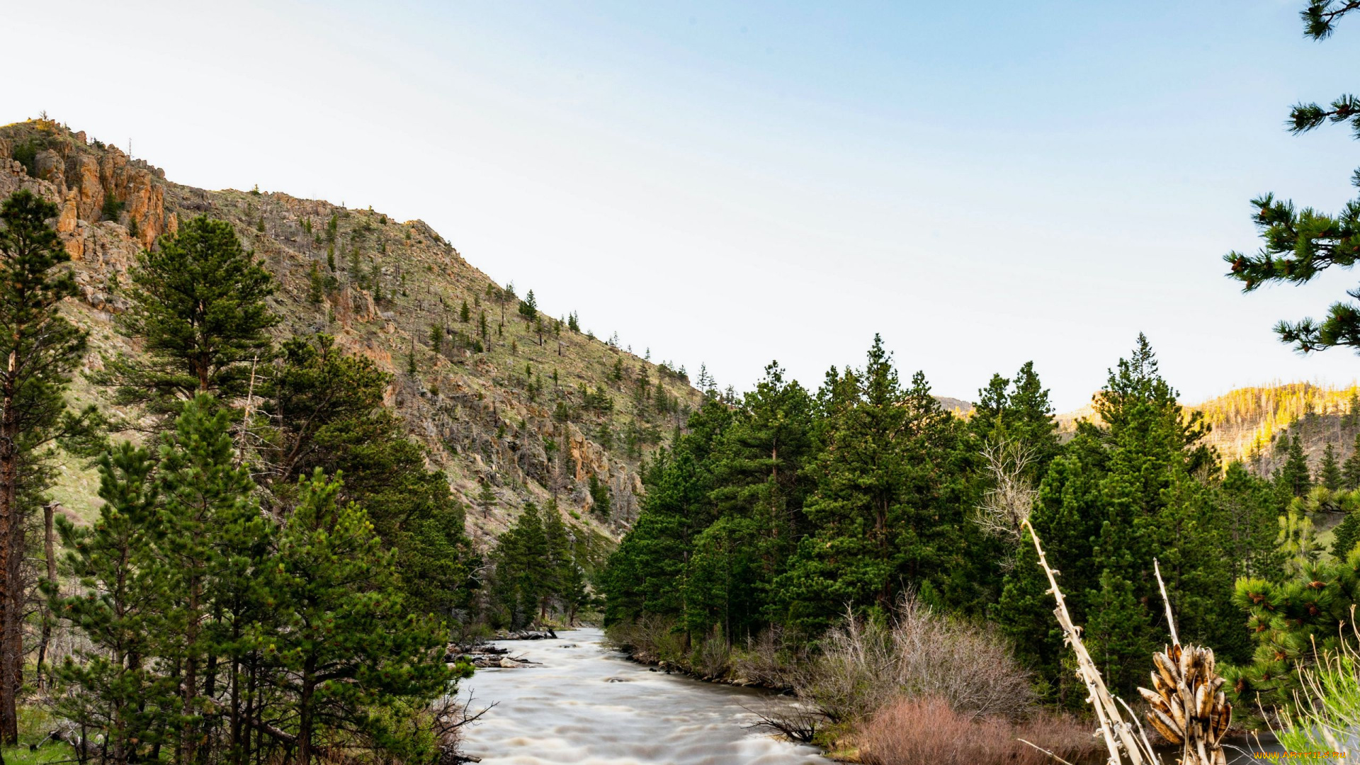 природа, реки, озера, горная, река, камни