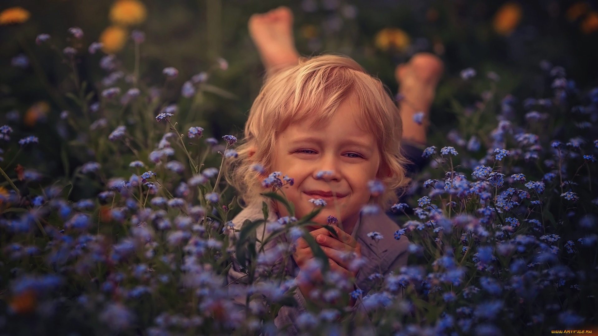 разное, настроения, мальчик, незабудки