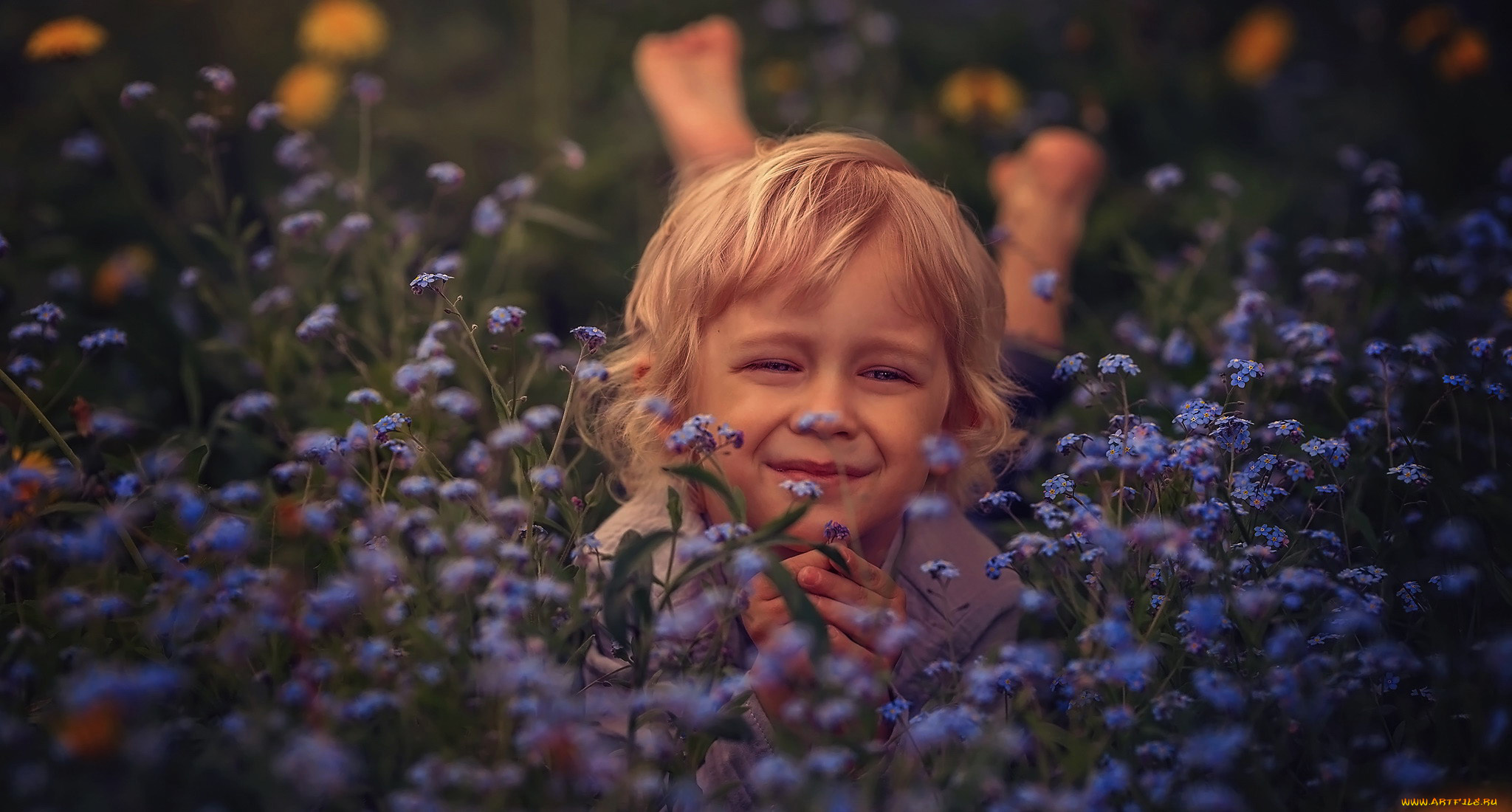 разное, настроения, мальчик, незабудки