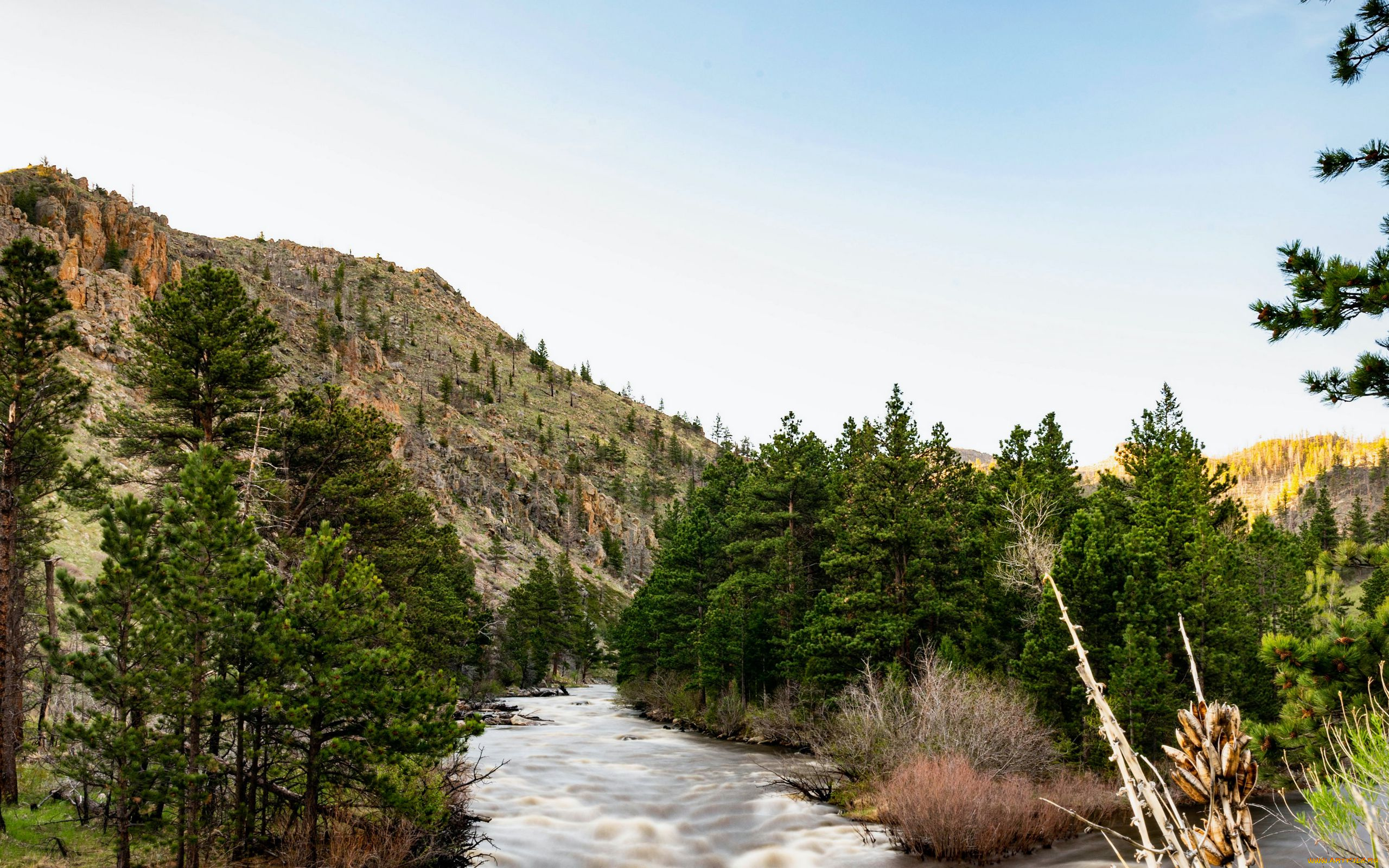 природа, реки, озера, горная, река, камни