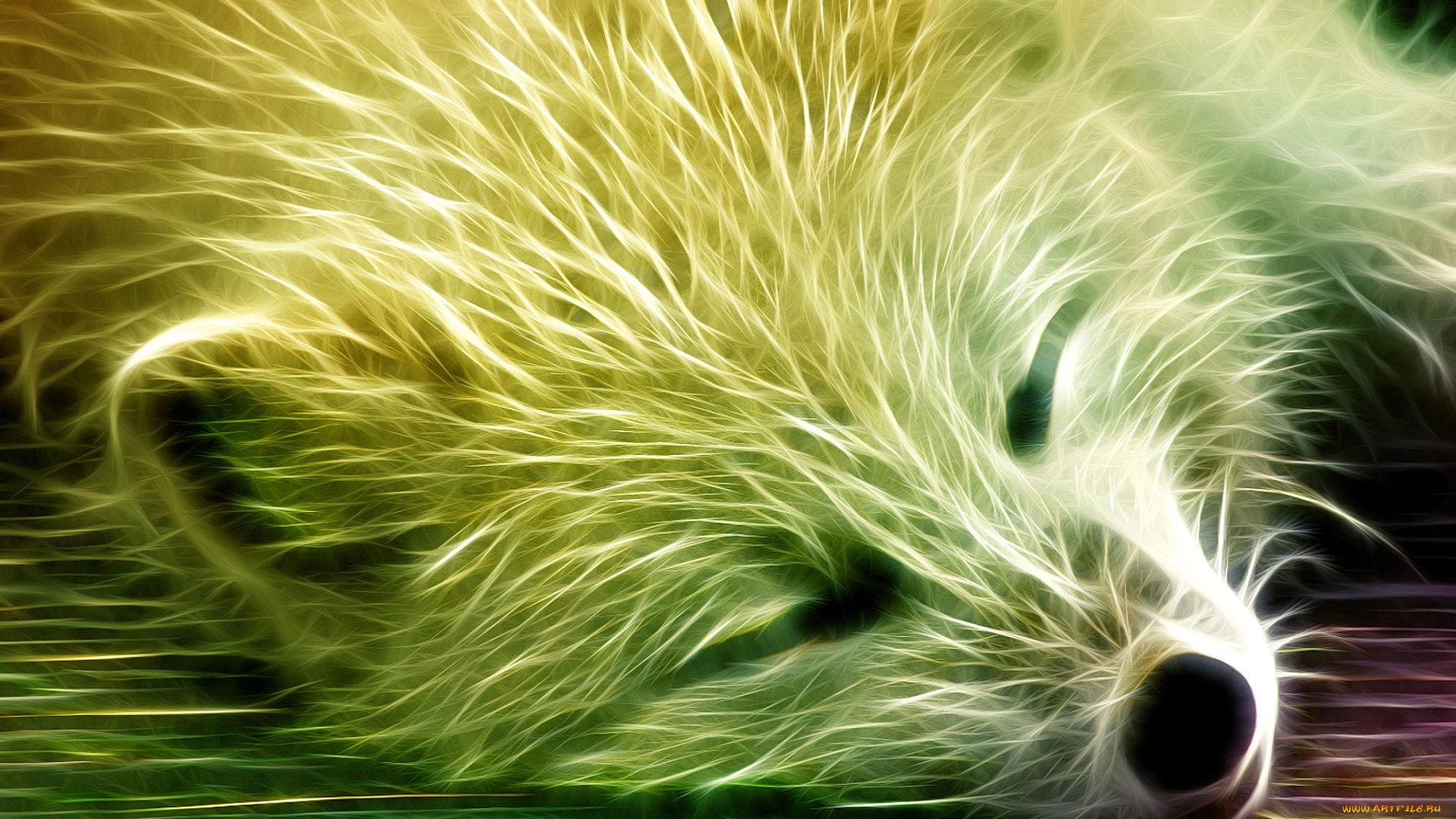 разное, компьютерный, дизайн, зверь, песец, отдых