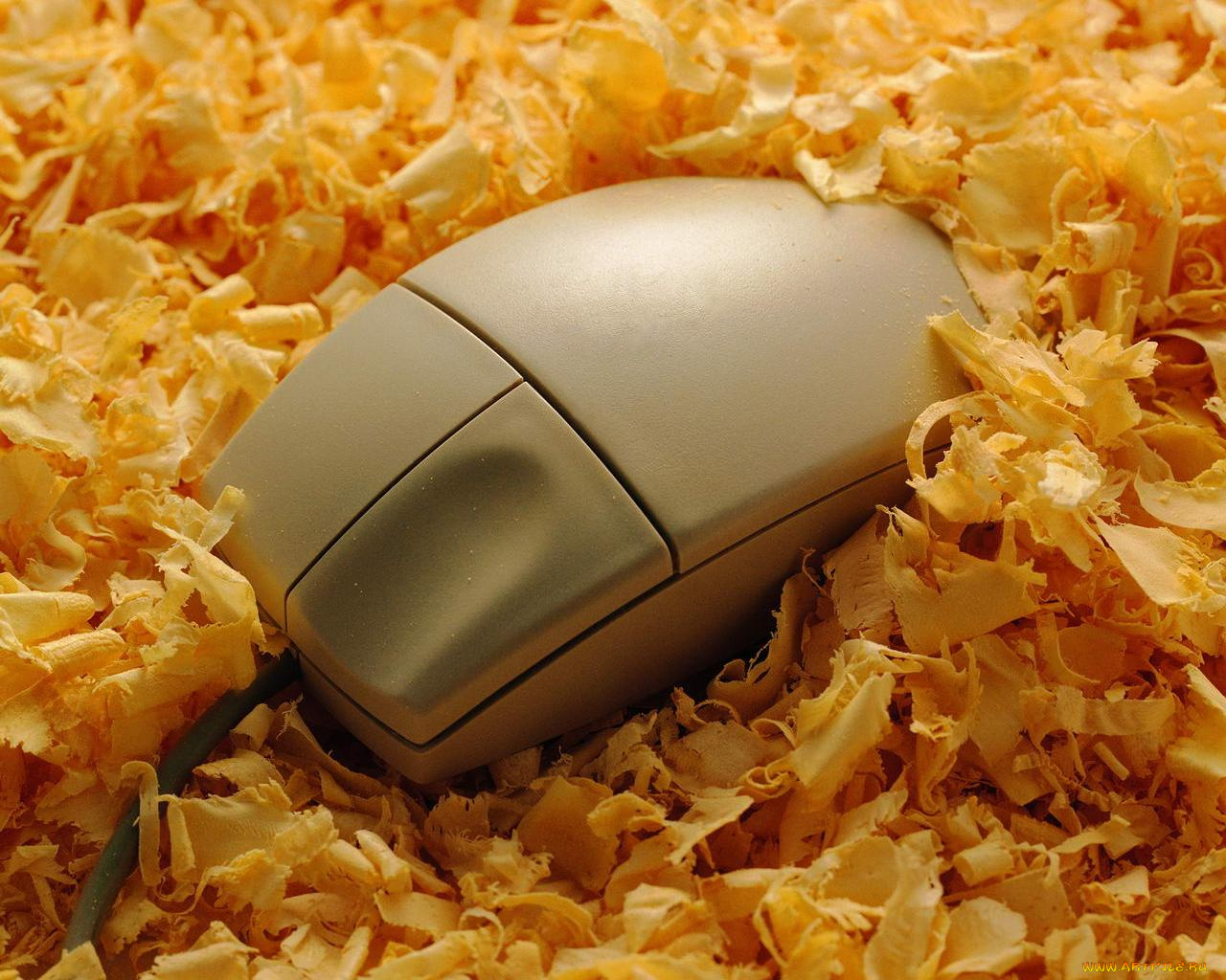 компьютеры, комплектующие