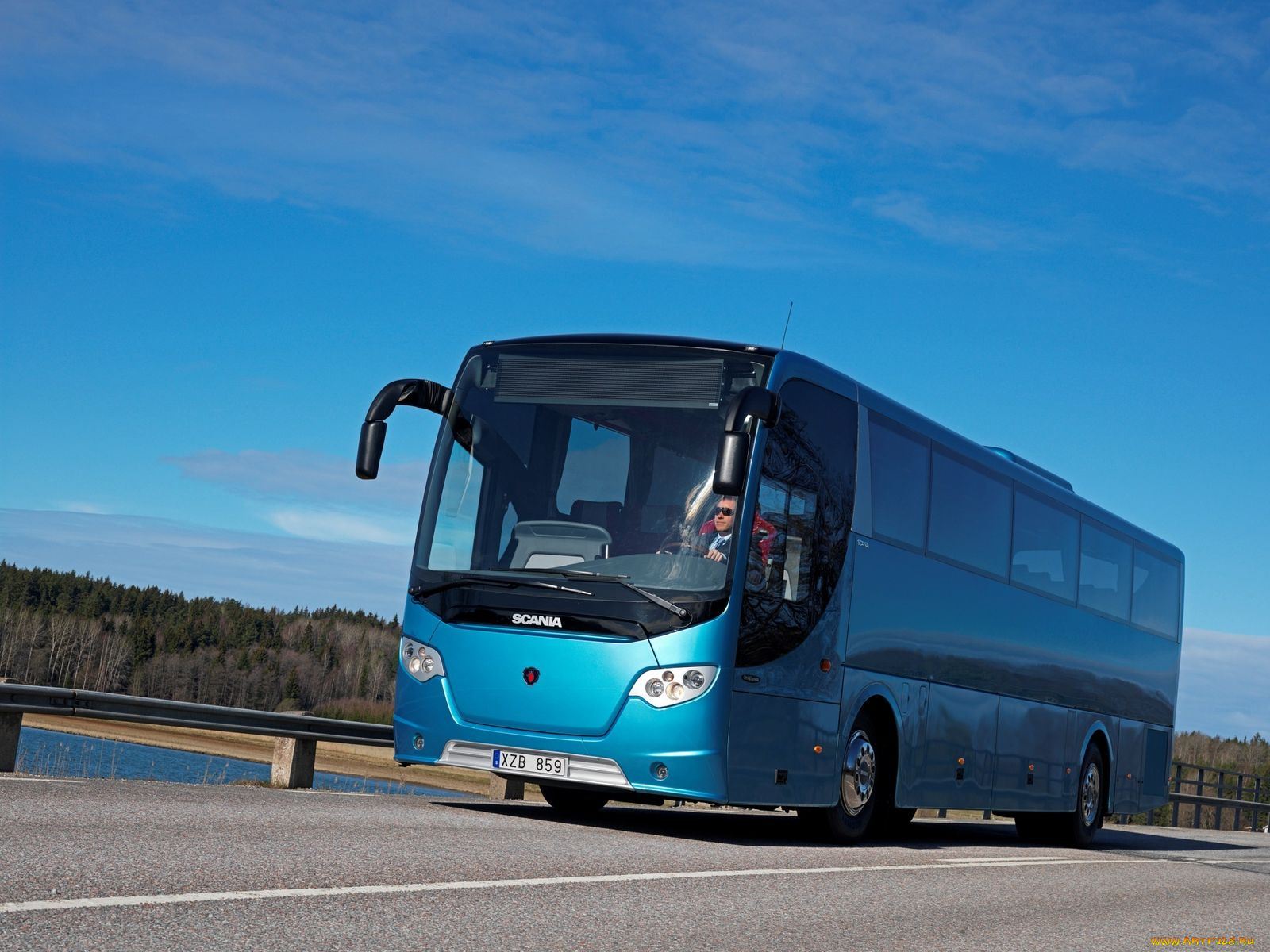 автомобили, автобусы