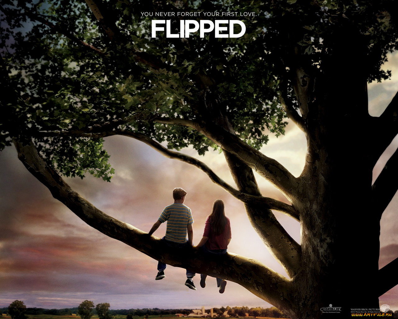 flipped, кино, фильмы