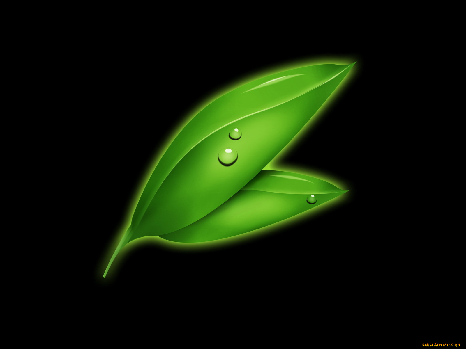 векторная, графика