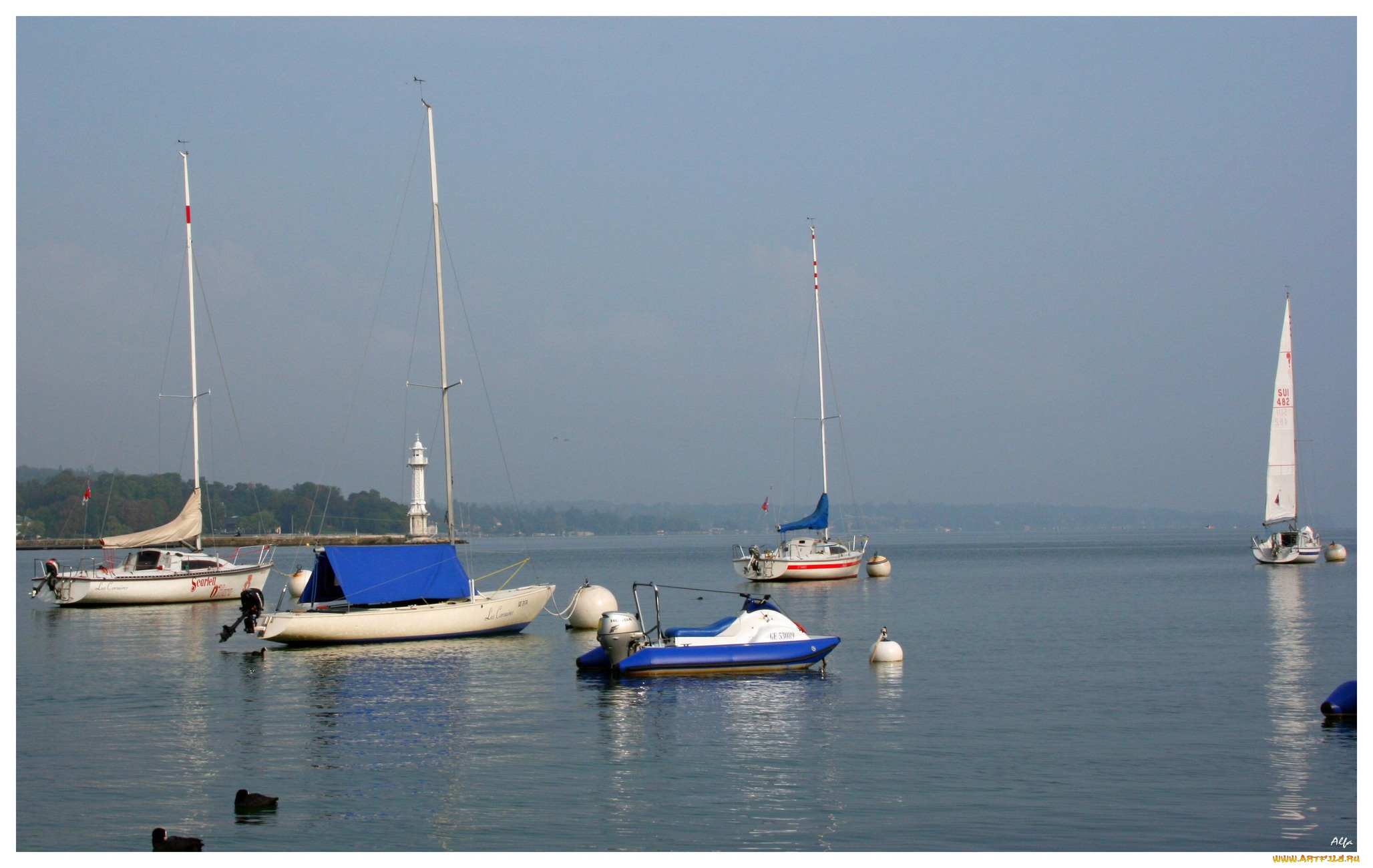 корабли, разные, вместе