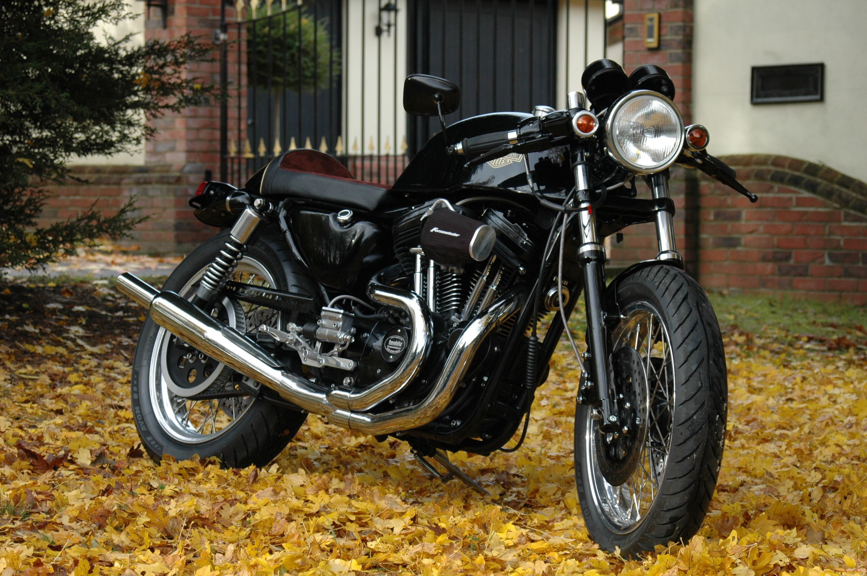 мотоциклы, harley, davidson, thunderstorm