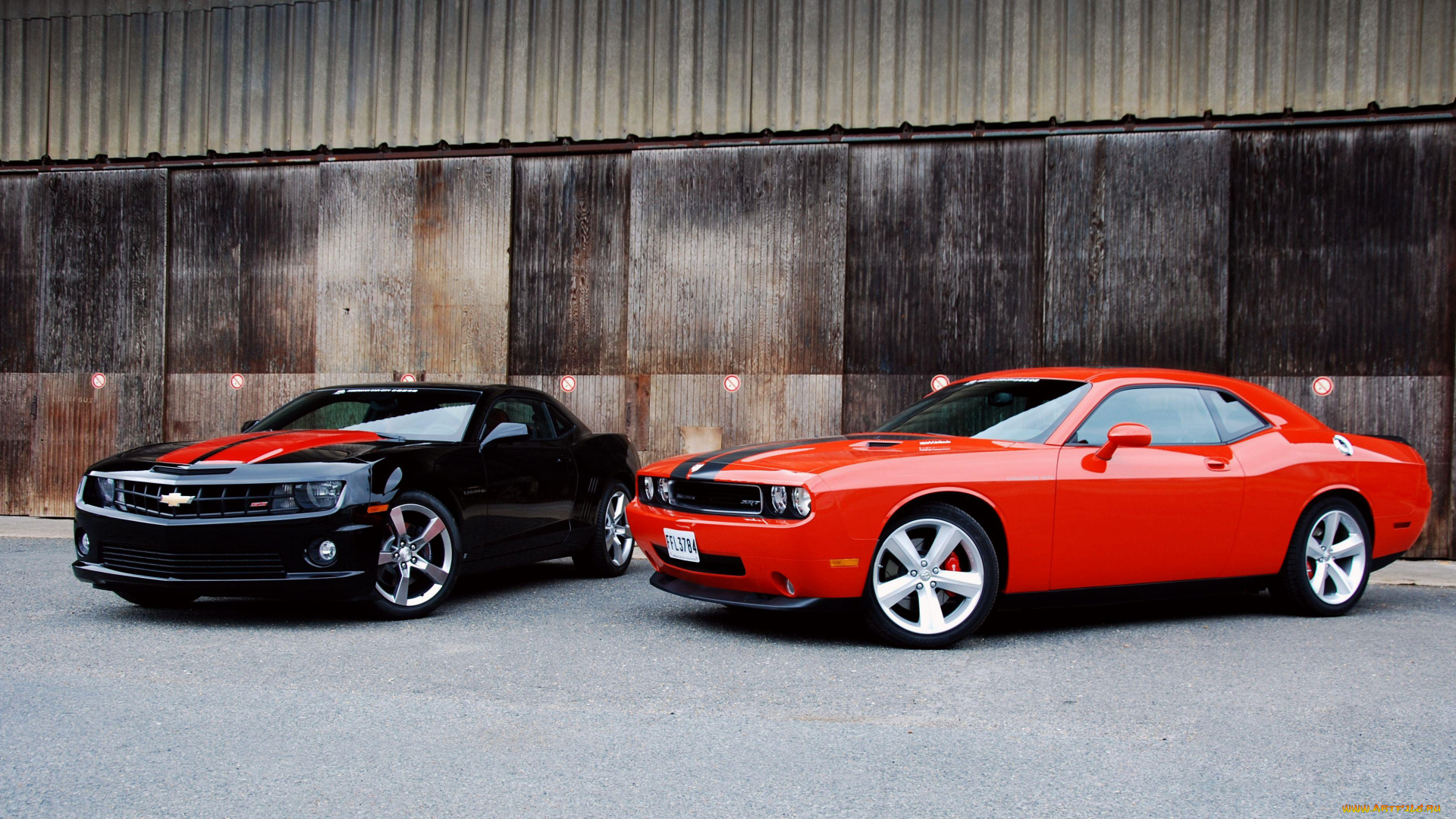 автомобили, разные, вместе, muscle