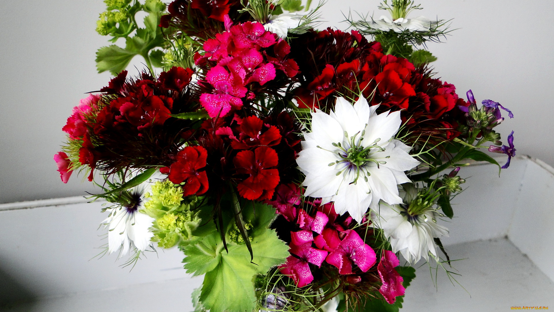 цветы, букеты, композиции, нигела, букет