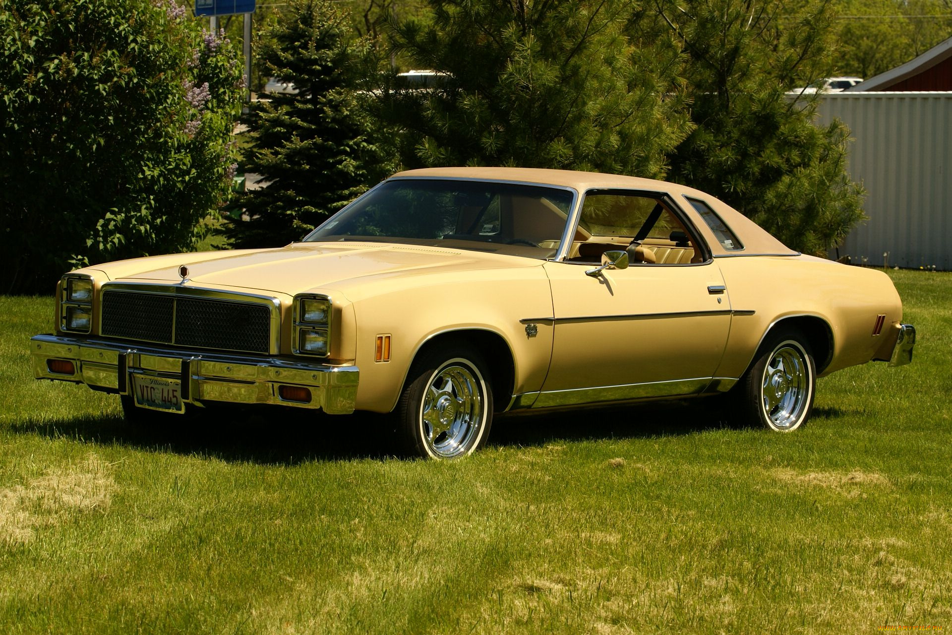 автомобили, dodge, avto