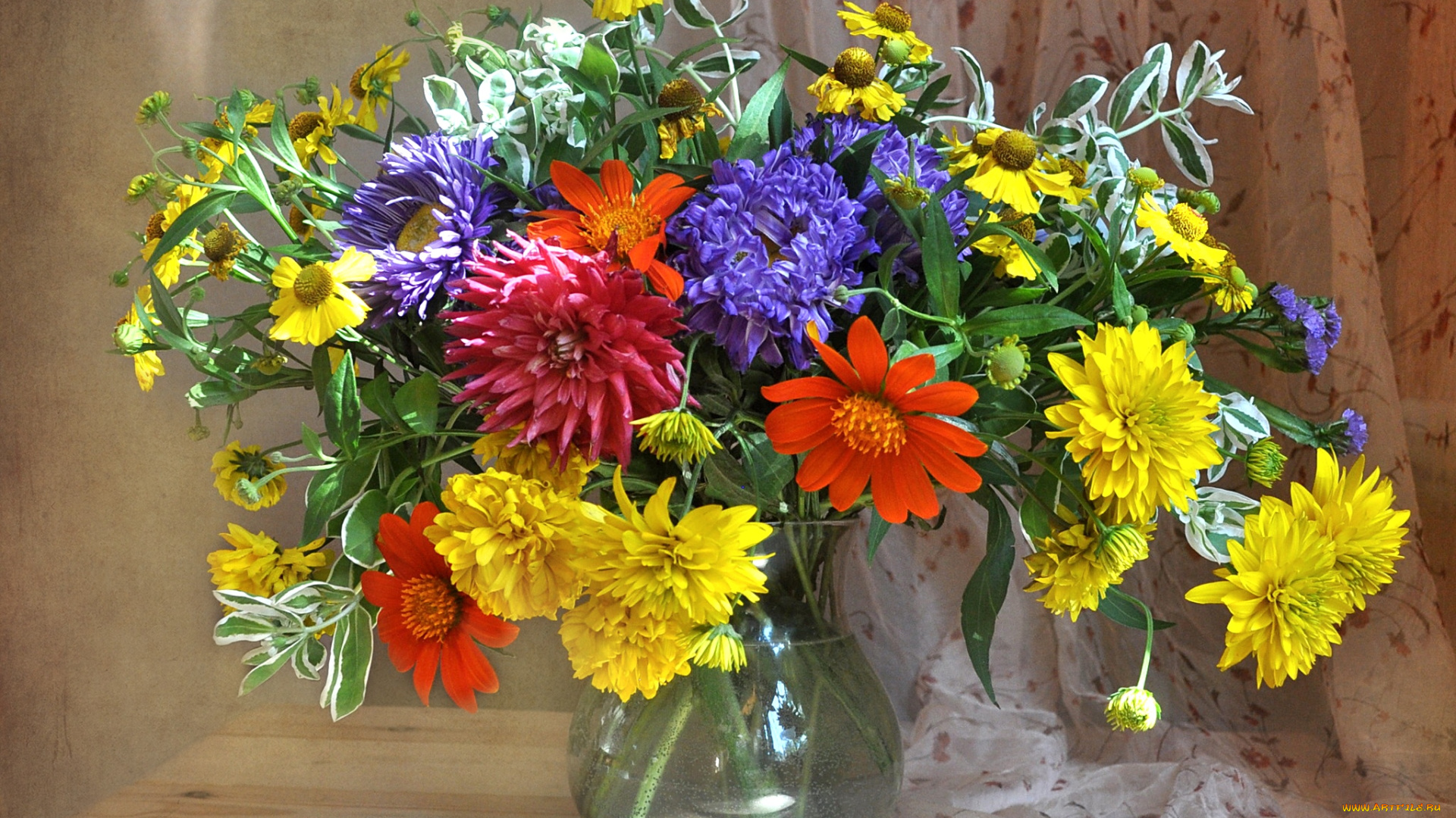 цветы, букеты, композиции, георгин, астры, рудбекия, гайлардия