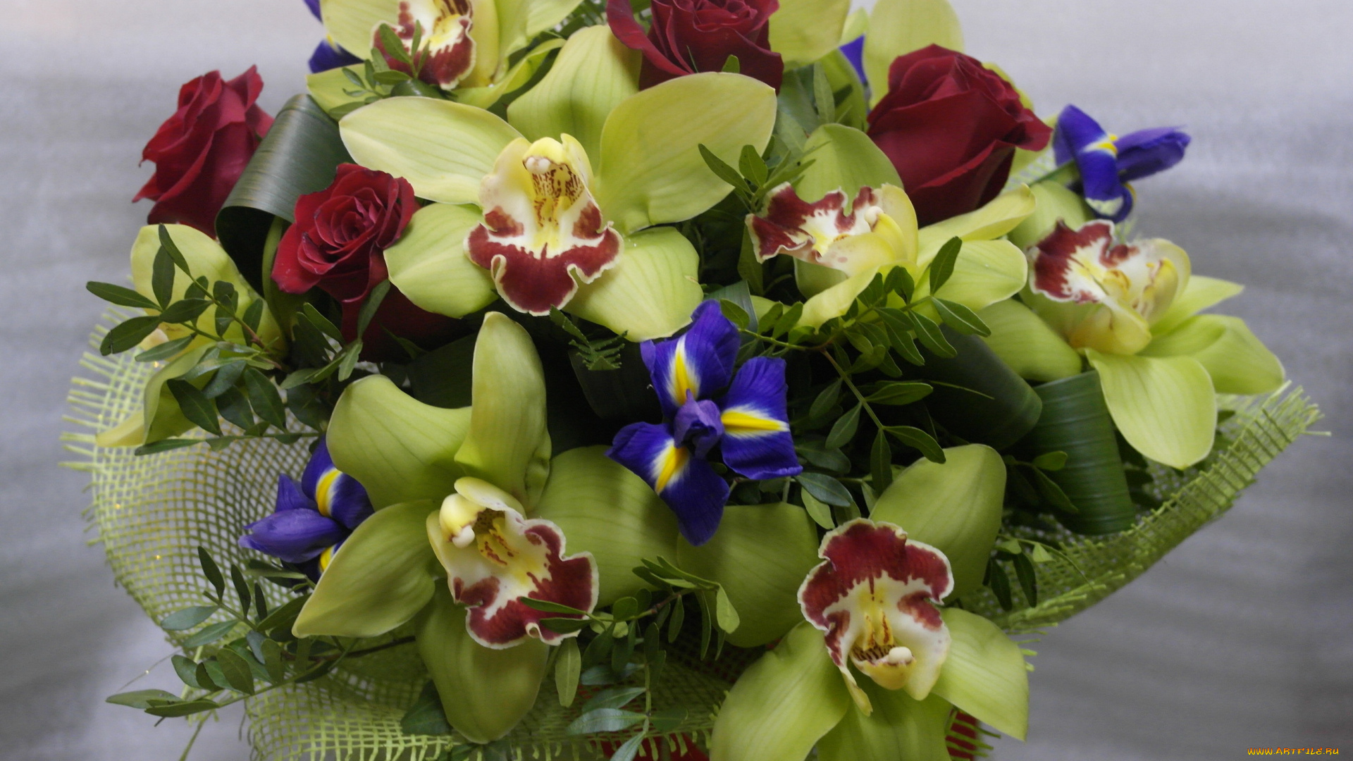 цветы, букеты, композиции, ирис, букет