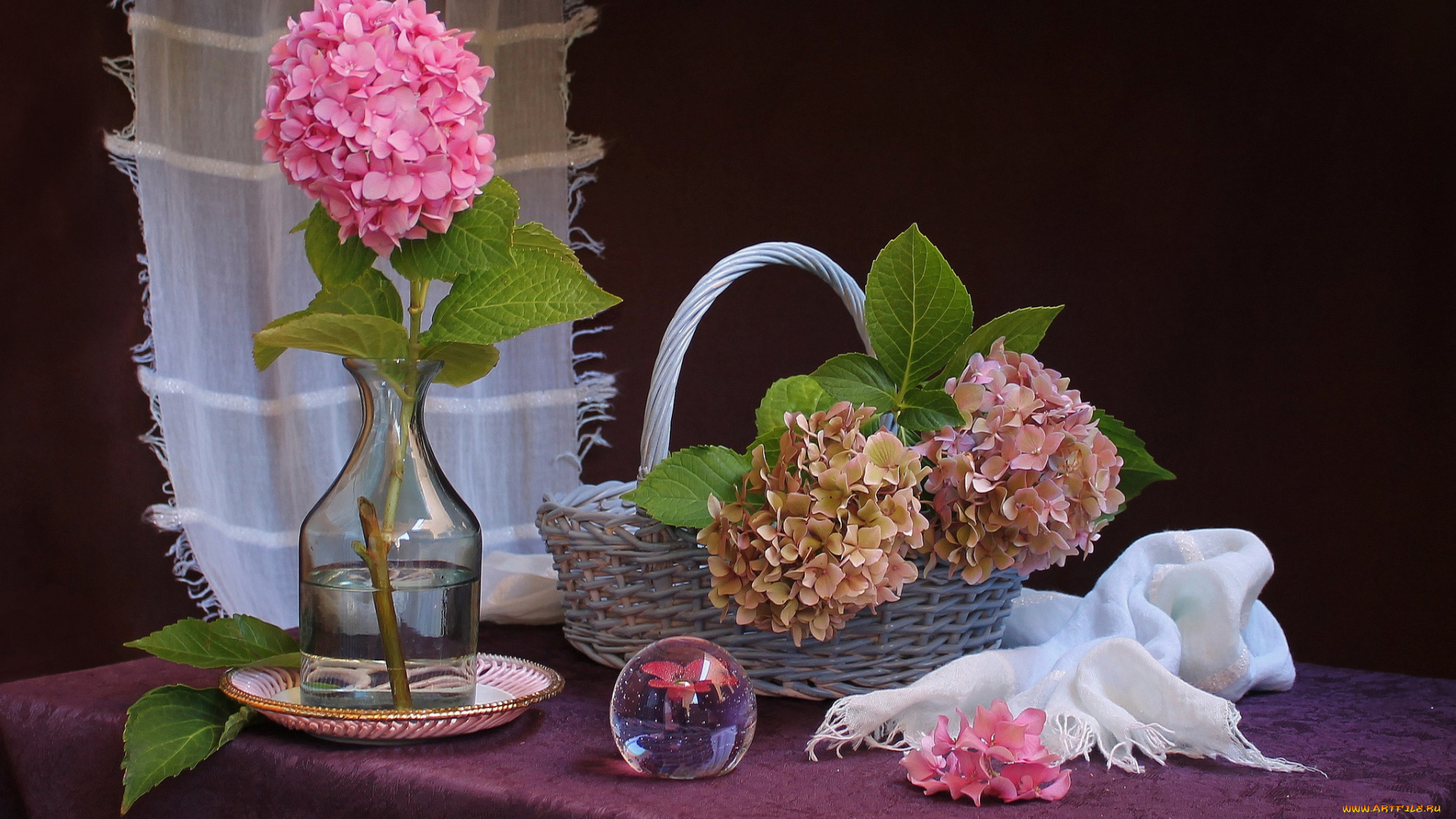 цветы, гортензия, натюрморт, корзинка