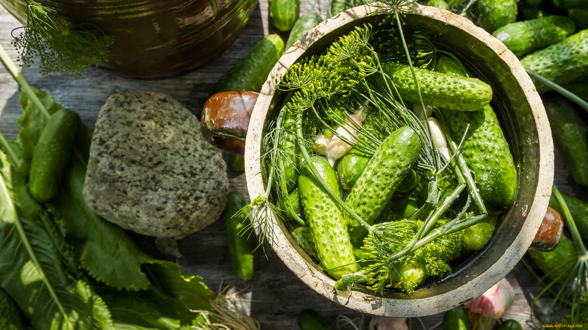еда, огурцы, заготовки, засолка, огурчики
