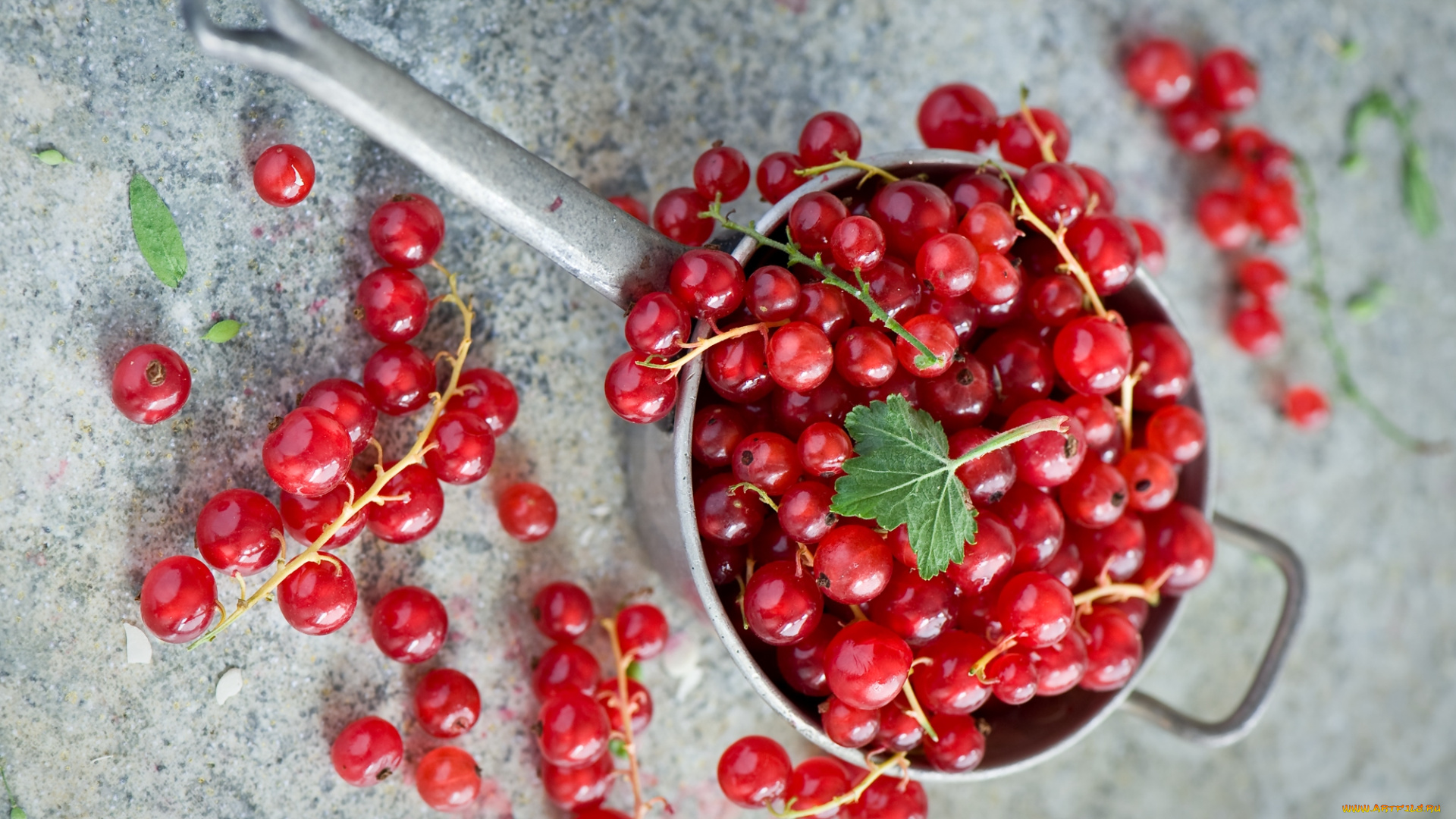 еда, смородина, красная, сморолина