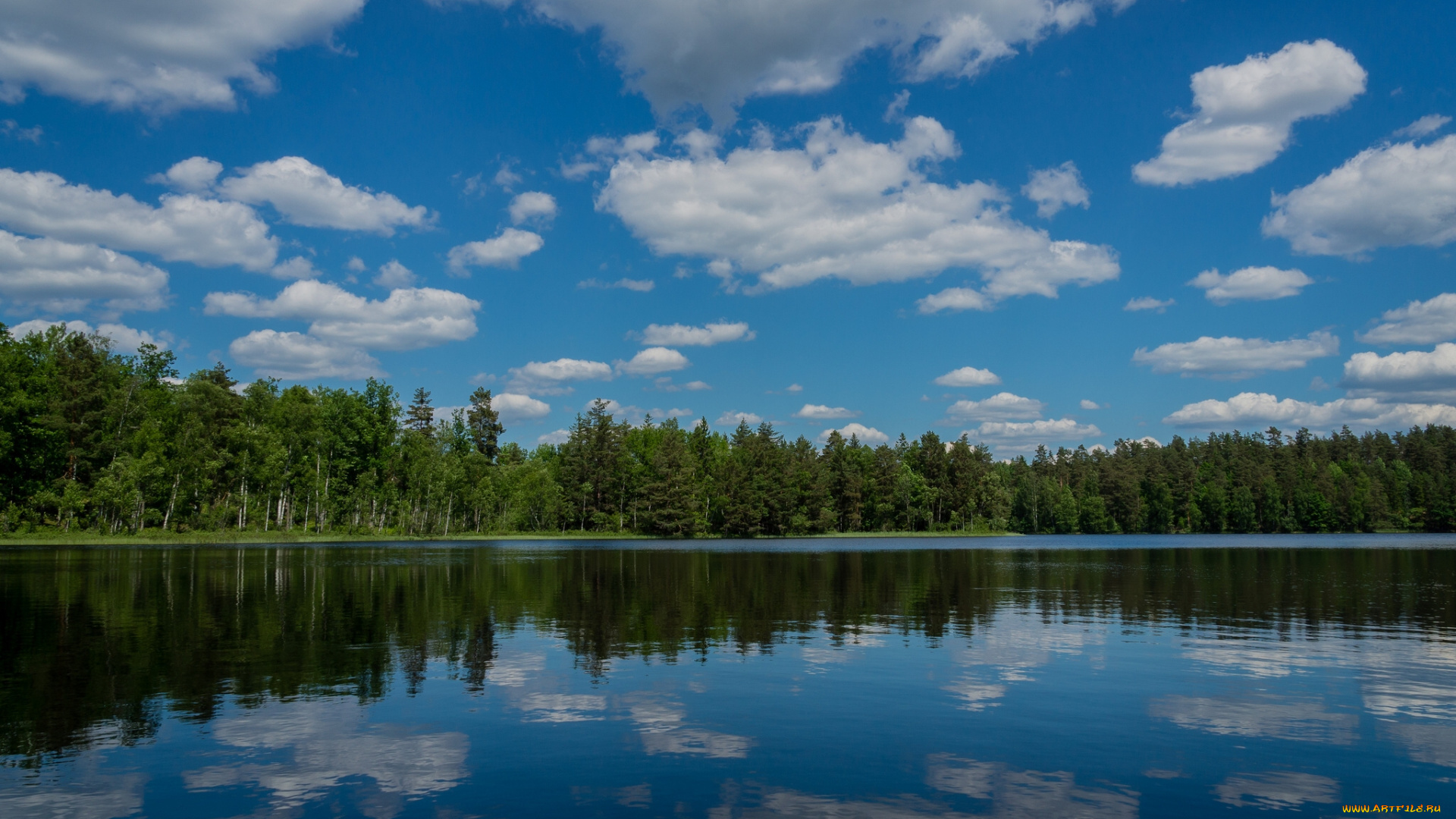 m&, 246, ljeryd, sweden, природа, реки, озера, швеция, moljeryd, отражение, озеро, лес, облака