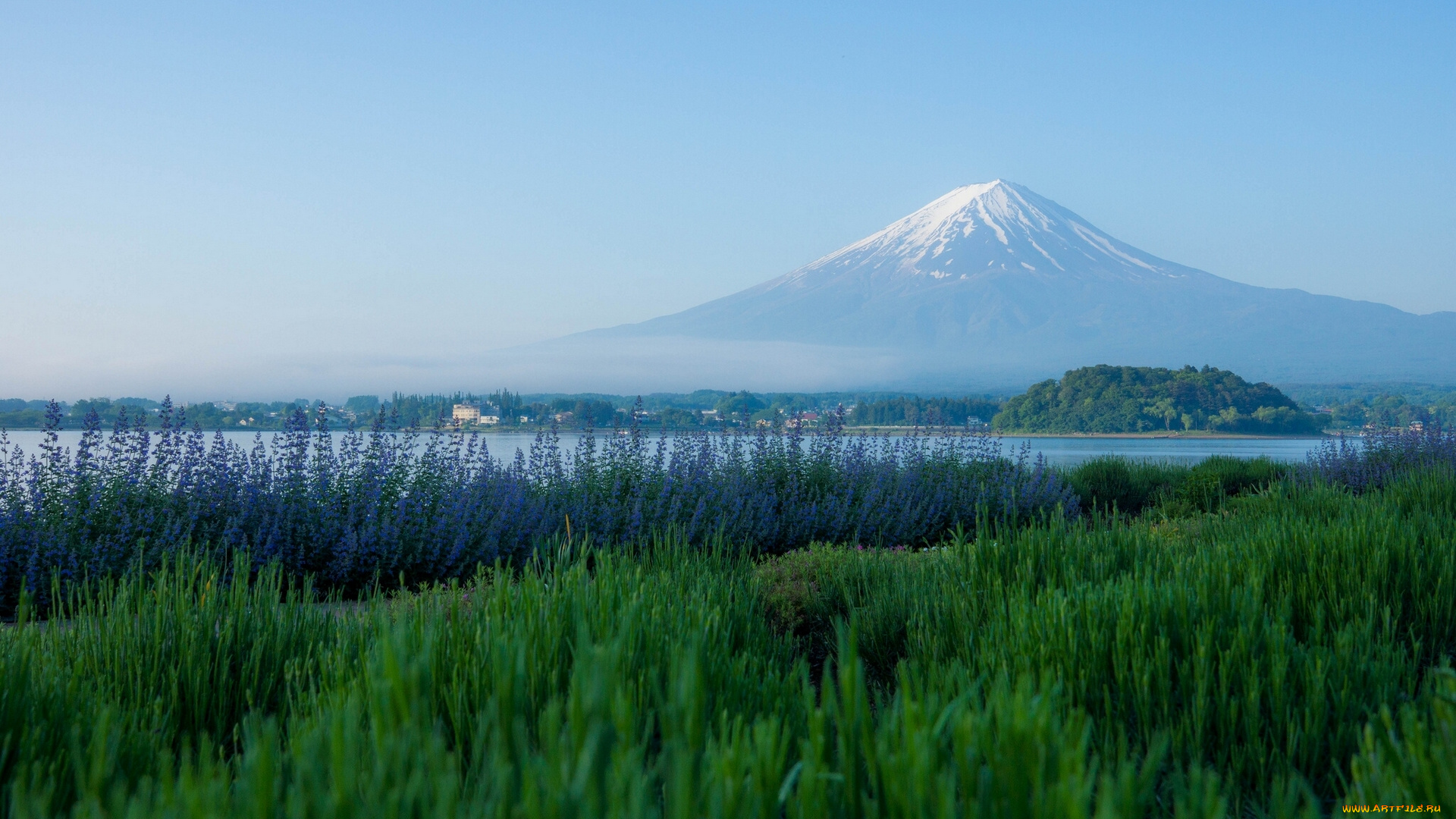 mount, fuji, lake, kawaguchi, japan, природа, горы, озеро, кавагути, фудзияма, фудзи, Япония, вулкан, лаванда, луг