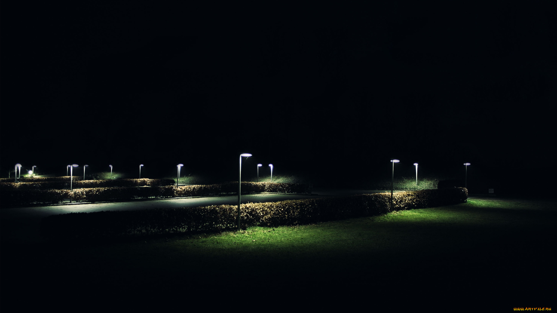 ночь, разное, осветительные, приборы, кусты, парк, фонари