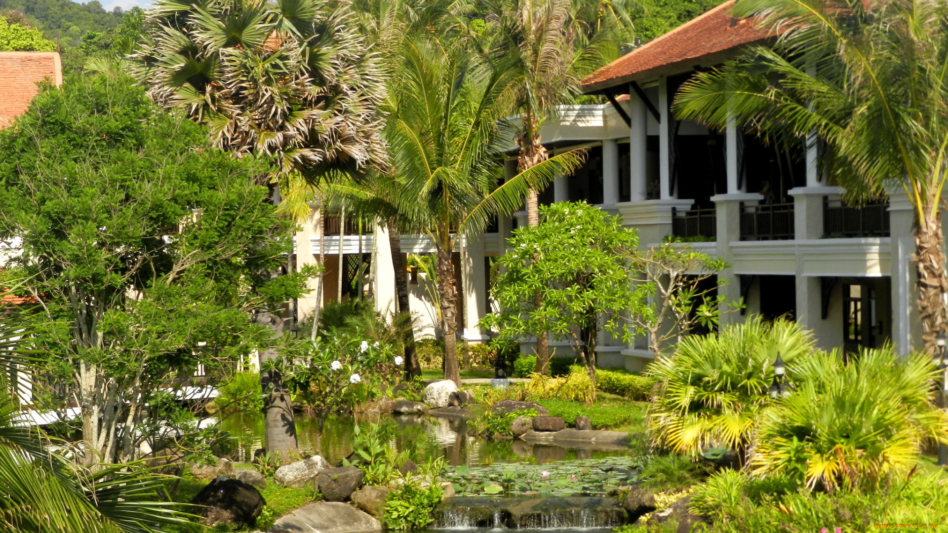 остров, krabi, таиланд, природа, парк, водоем, растения, павильон