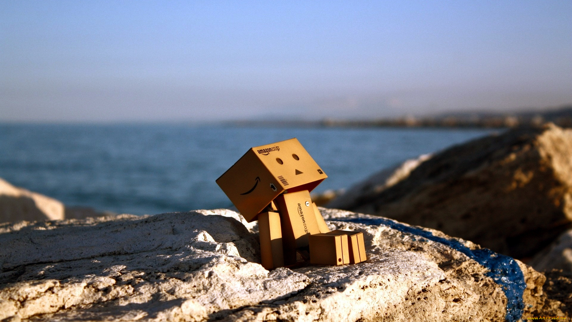 разное, данбо, danboard, море